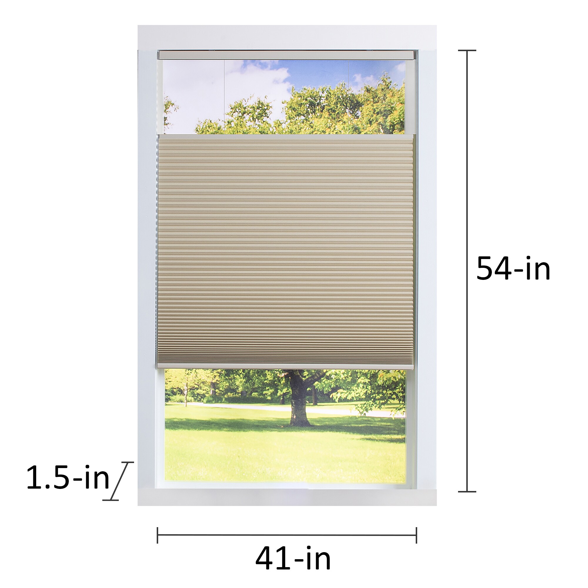 allen + roth 43.5-in x 54-in White Blackout Cordless Cellular Shade in the  Window Shades department at