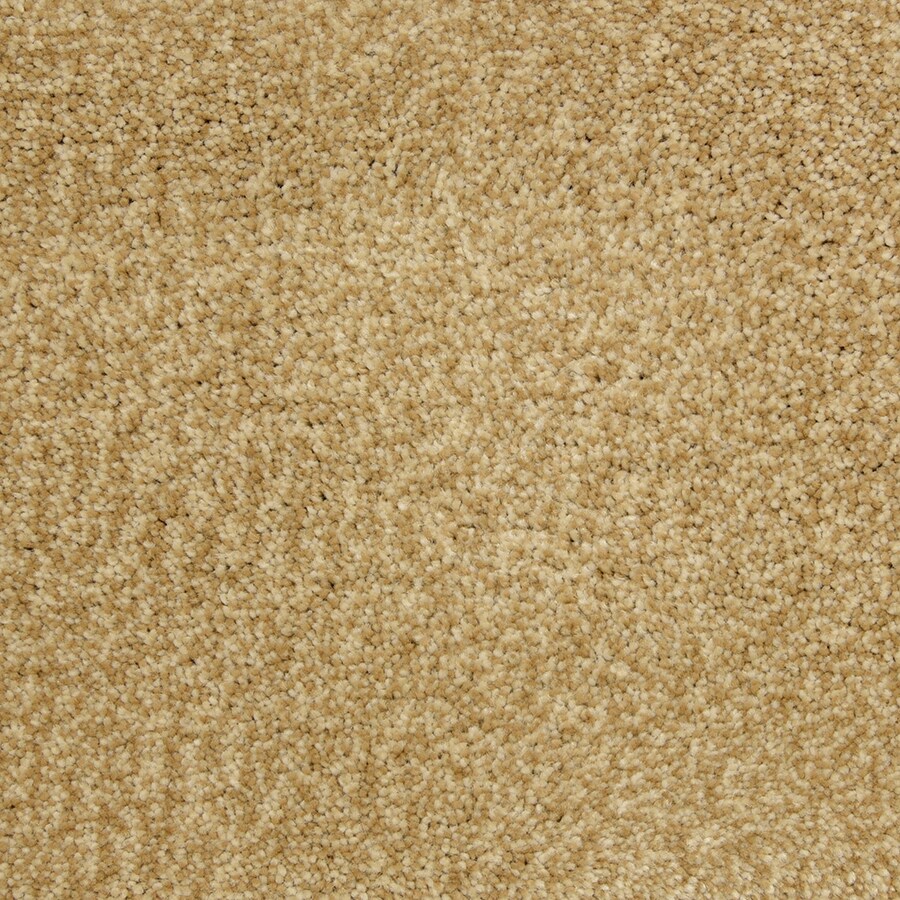 STAINMASTER S795952HEIRLOOM-0736 (Sample) PetProtect Entranced Heirloom Shag/Frieze Carpet