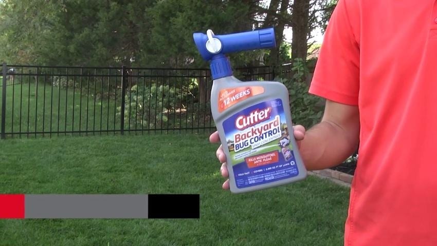 A thumbnail for the video