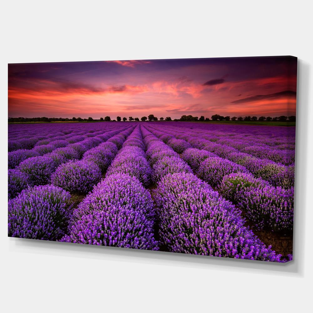 Designart 20-in H x 40-in W Landscape Print on Canvas in the Wall Art ...