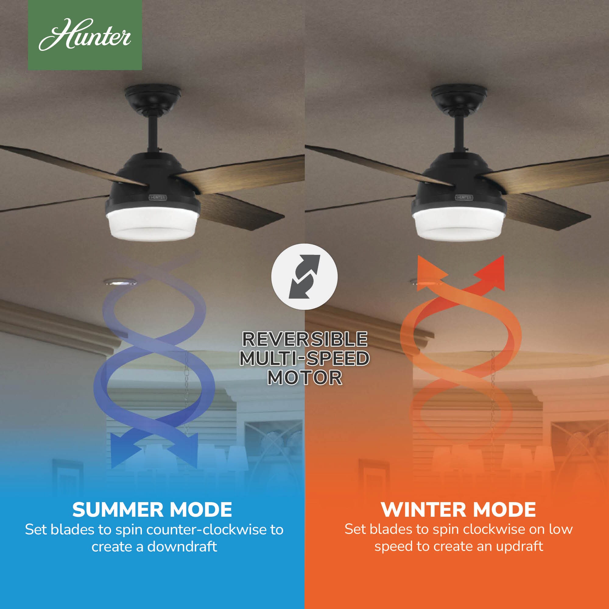Hunter 59251 Ceiling-Fans - View #8
