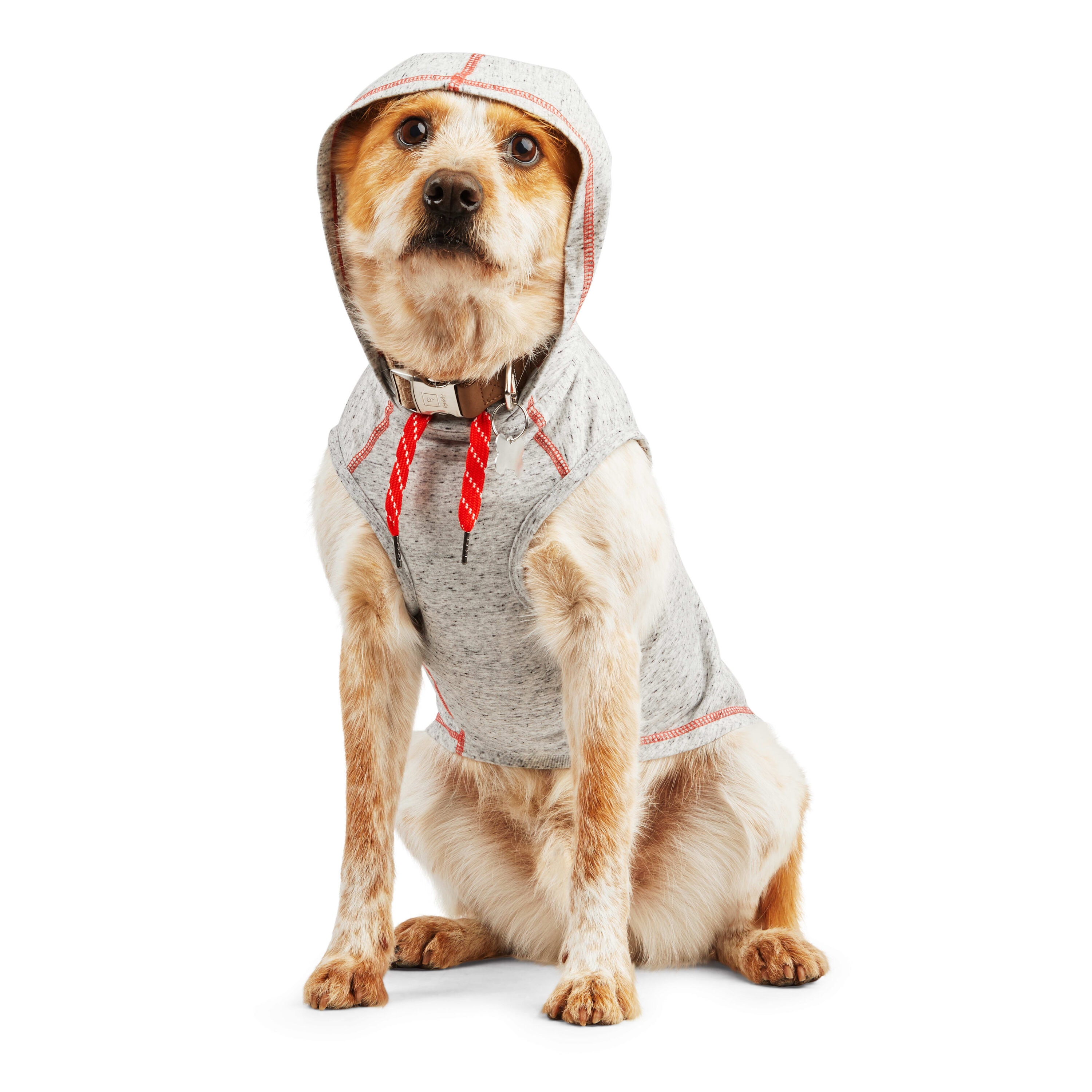 Reddy PTY-220523133XL Dog-Clothing-Acc - View #2