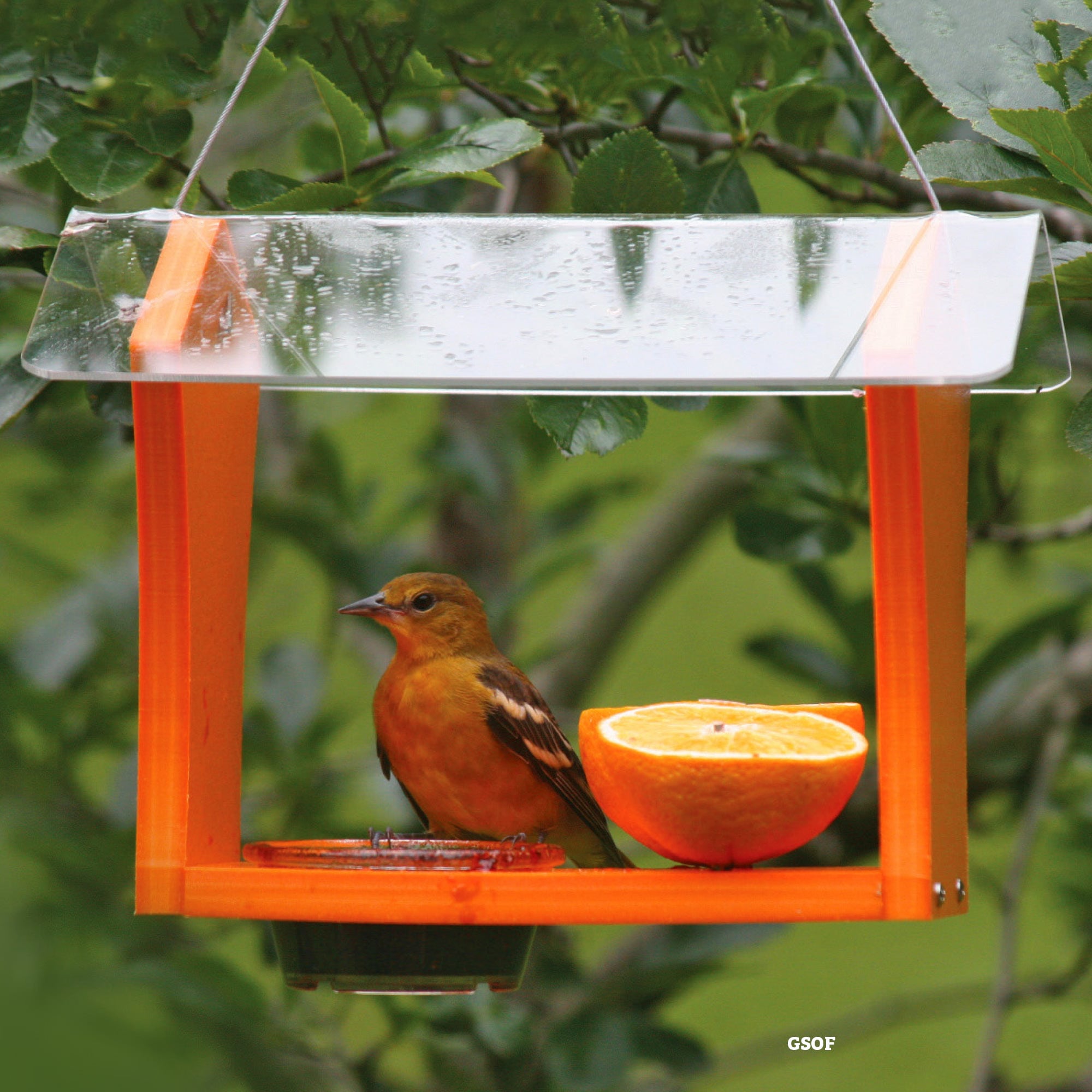 BIRDS CHOICE SNOF Bird-Feeders - View #15