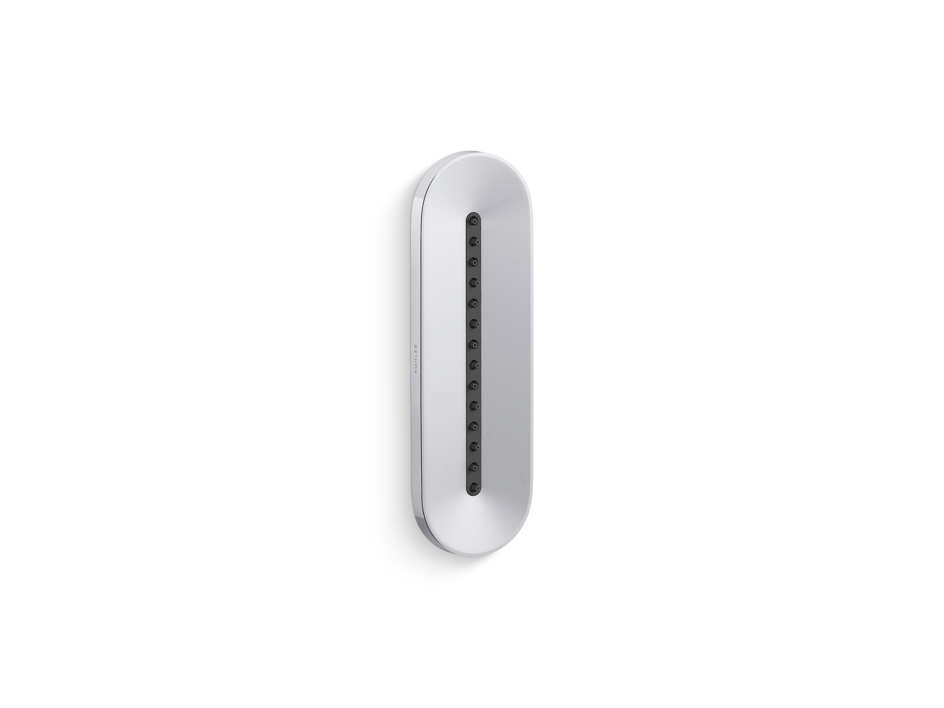 KOHLER - Statement 1 -Spray VibrantPolishedNickel 9-in Oblong Shower Head 2.5 GPM
