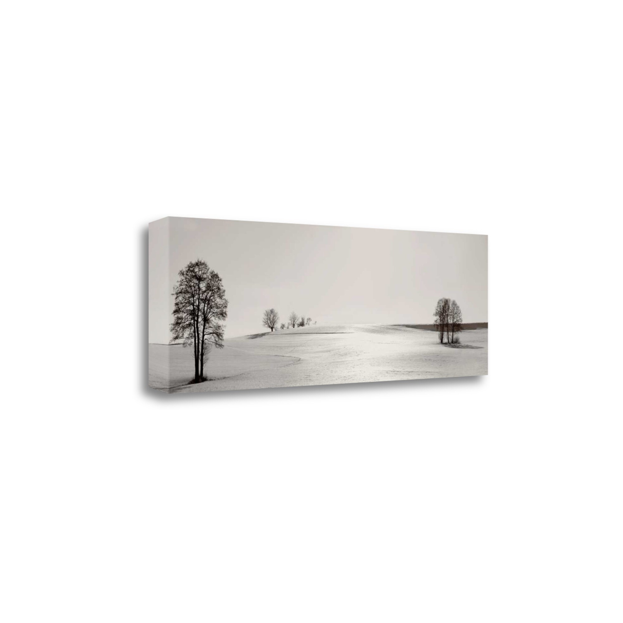 Tangletown Fine Art CASIP214-3412C Clear On The Hillcrest Ily Szilagyi 12-in H x 34-in W Photography Print on Canvas
