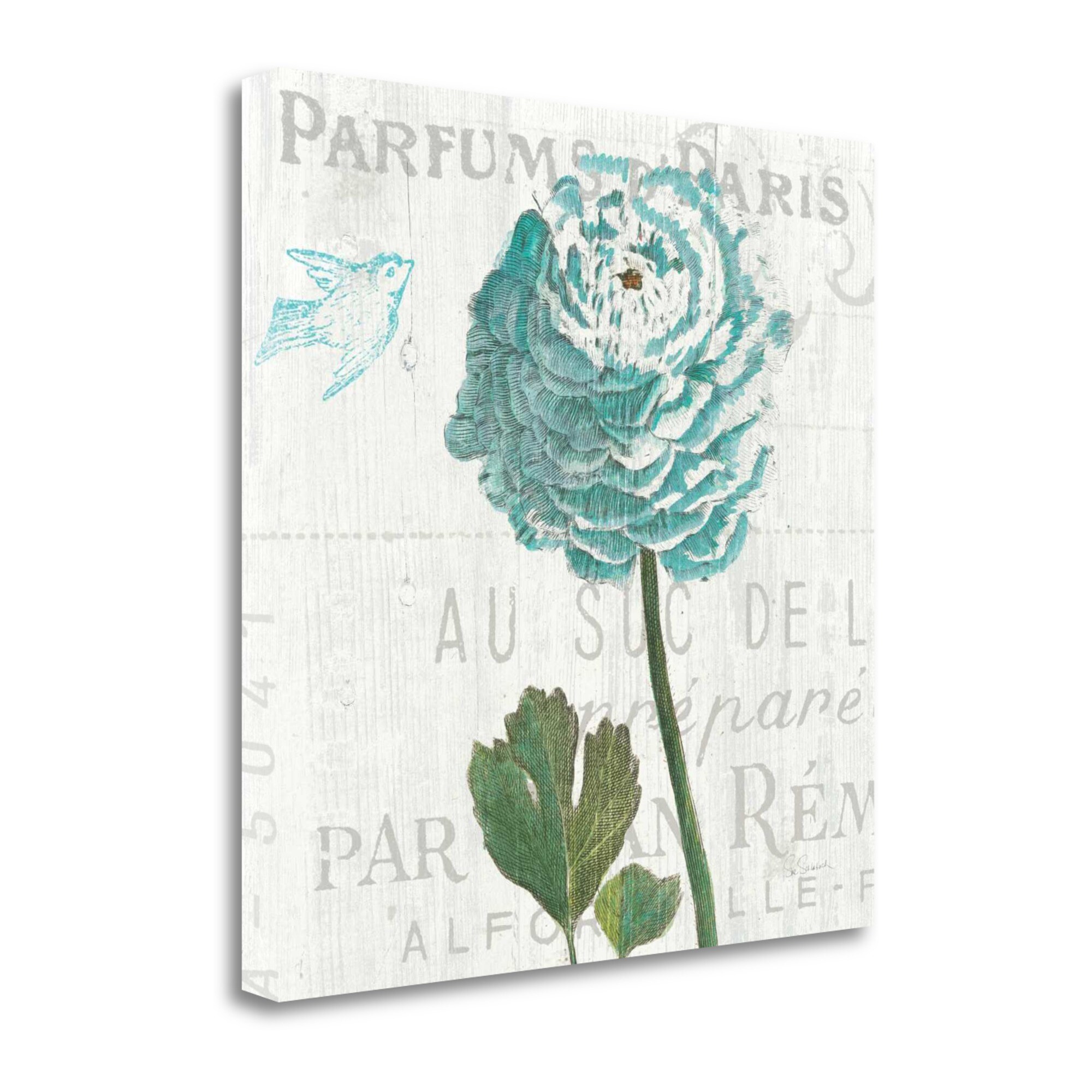 Tangletown Fine Art Floral Messages On Wood Ii Blue Sue Schlabach 20-in H x  20-in W Floral Print on Canvas in the Wall Art department at