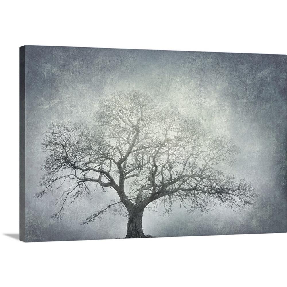 GreatBigCanvas 2497362-24-30X20 20-in H x 30-in W Abstract Print on Canvas