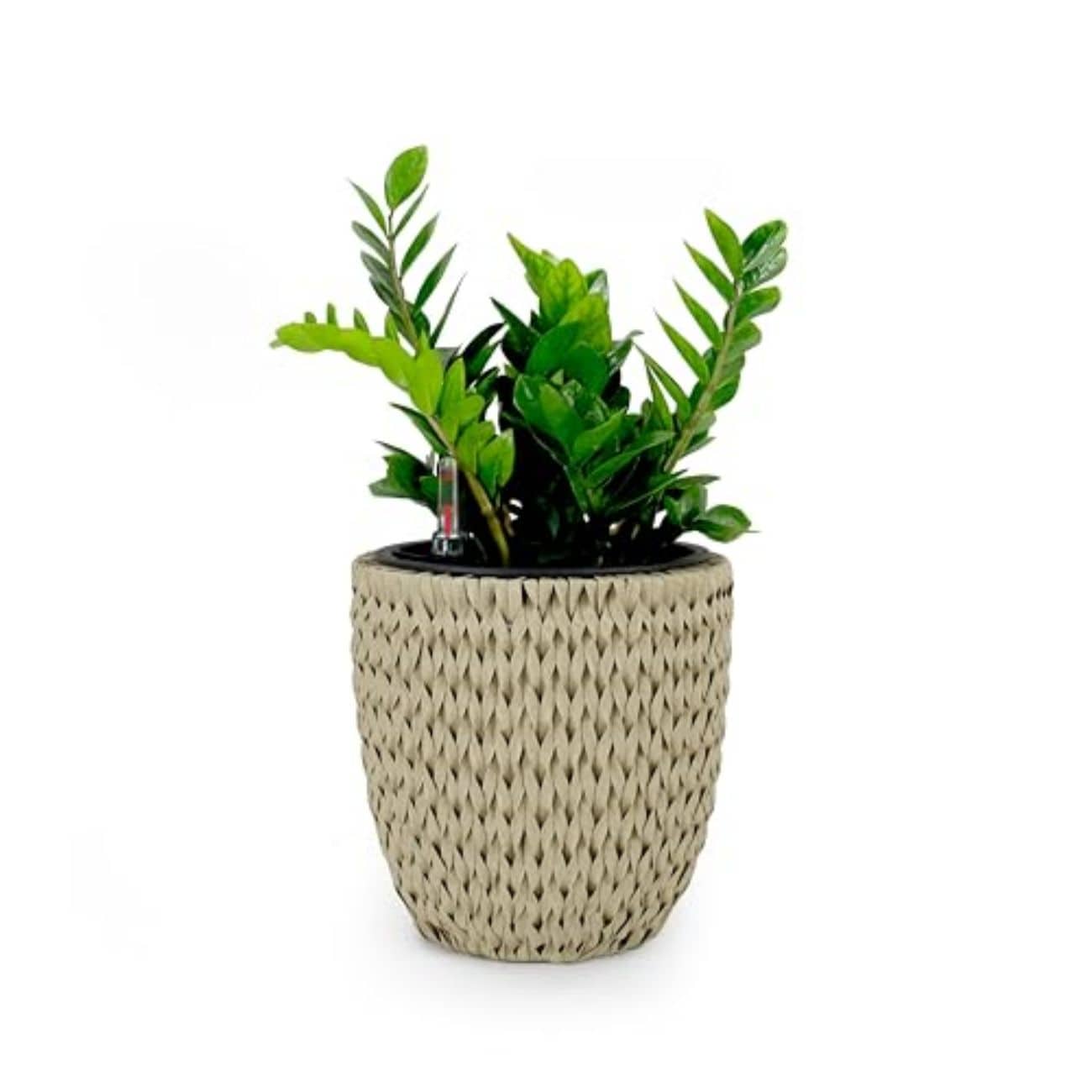 Siavonce XH44663 Round 11-in W x 62.2-in H x Brown PVC vinyl Indoor with Self Watering Planter