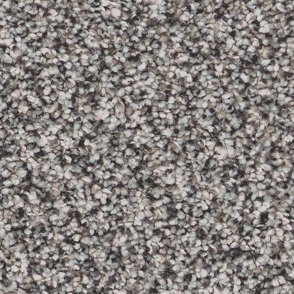 STAINMASTER 7L95500502 Animated I London Fog Gray 48.8-oz sq yard Solution-dyed polyester Textured Indoor Carpet