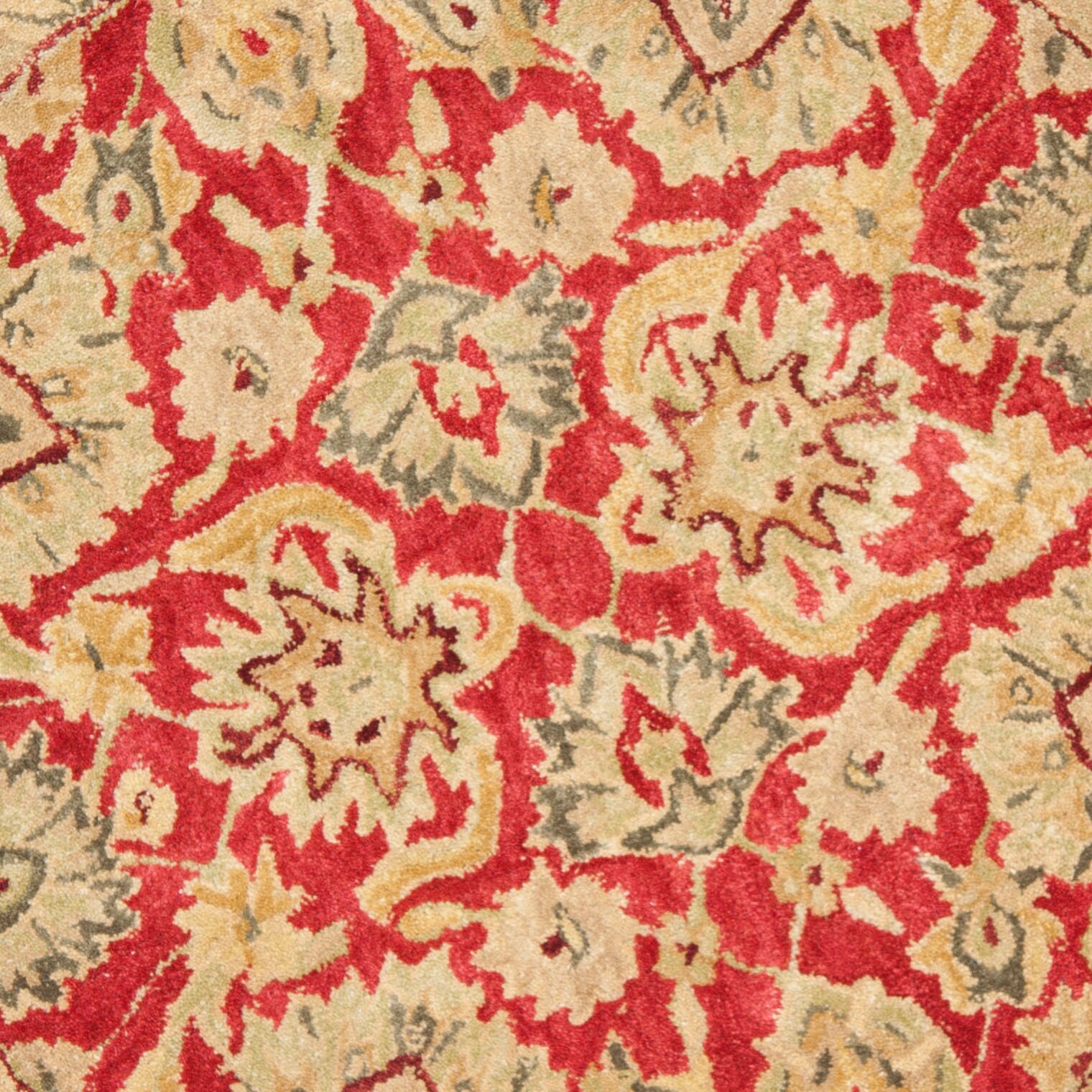 Safavieh AN522A-4R rugs - View #4