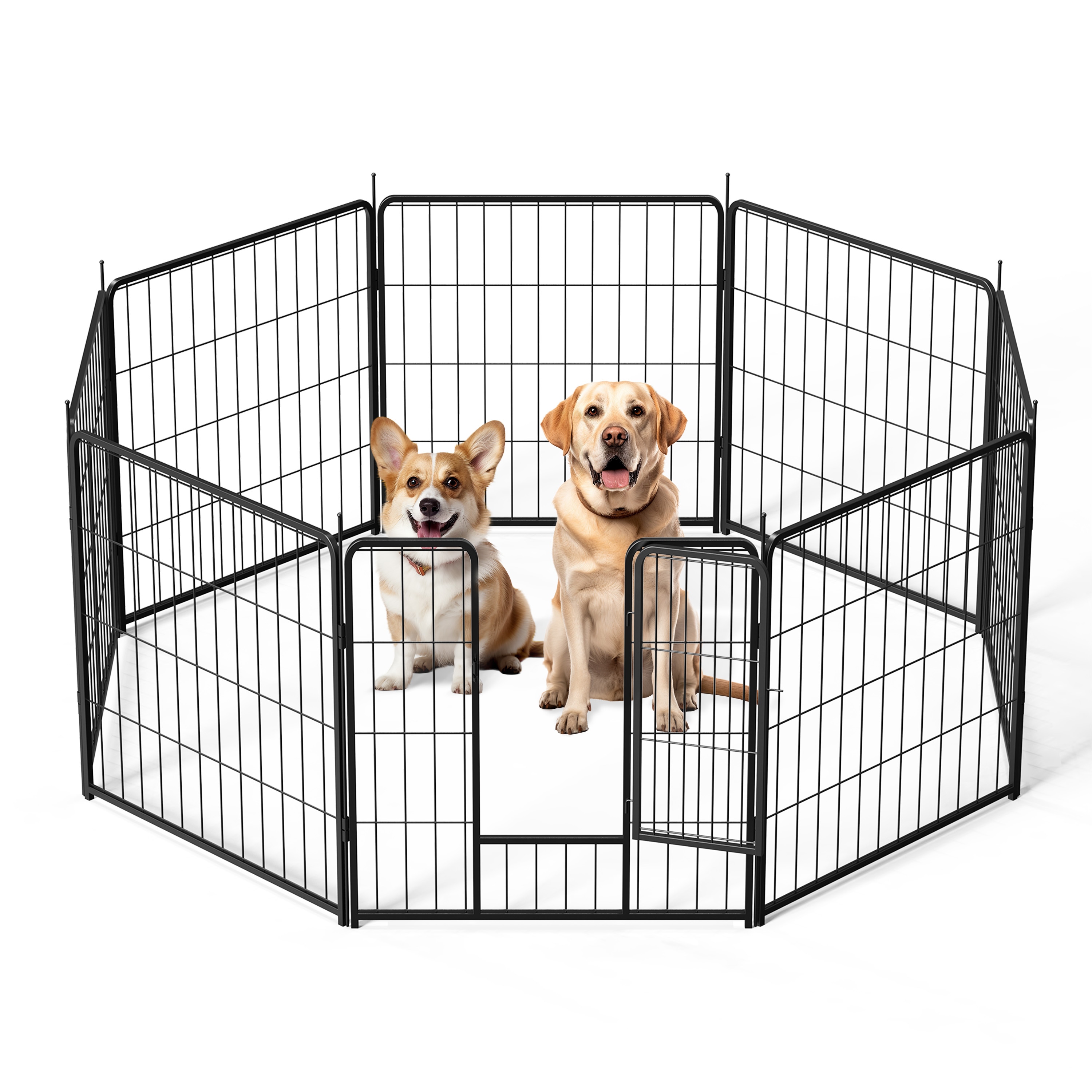 57 Inch Wide Dog Pens Runs at Lowes