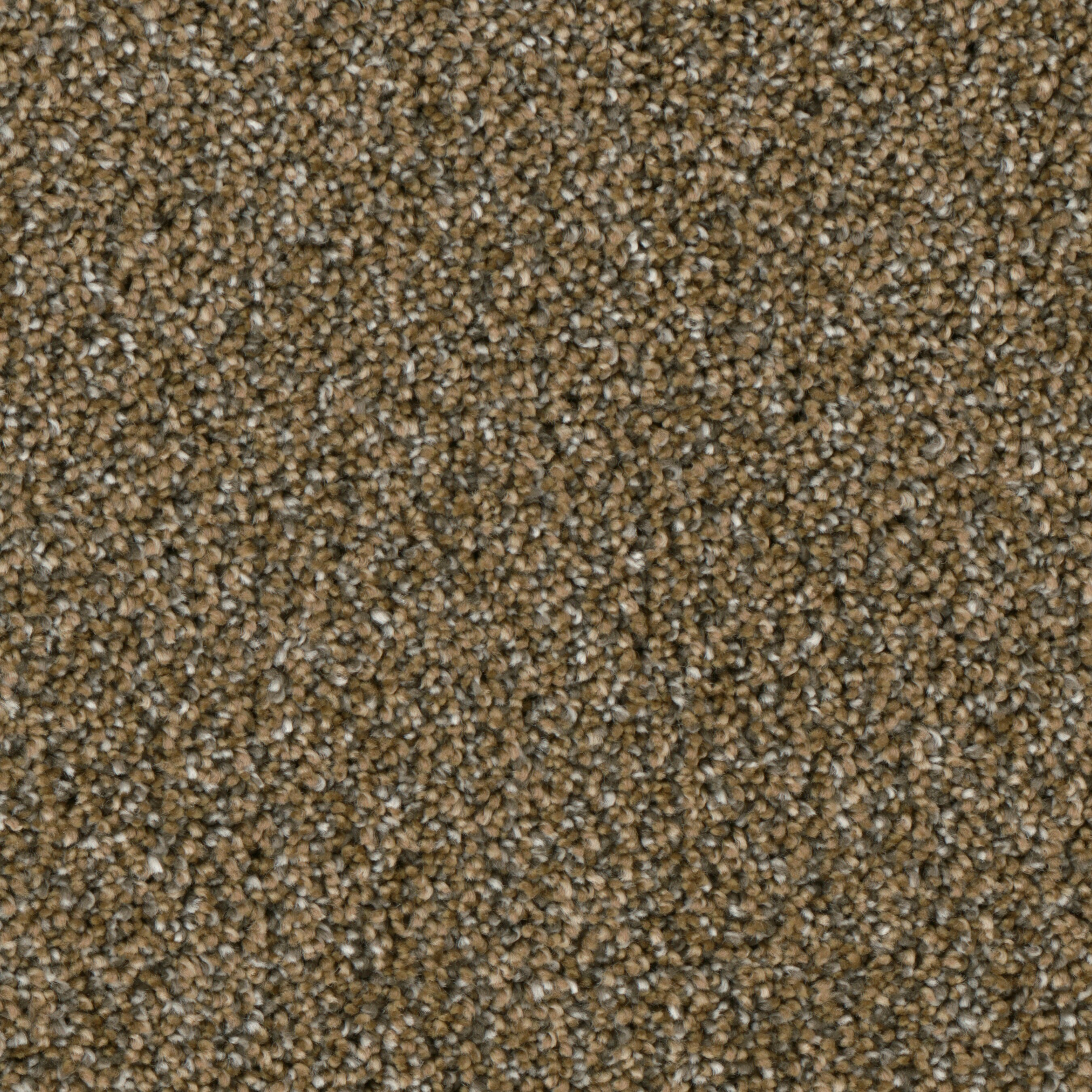 (Sample) Lenox Park Bungalow Textured Indoor Carpet | - STAINMASTER S9255-844-S