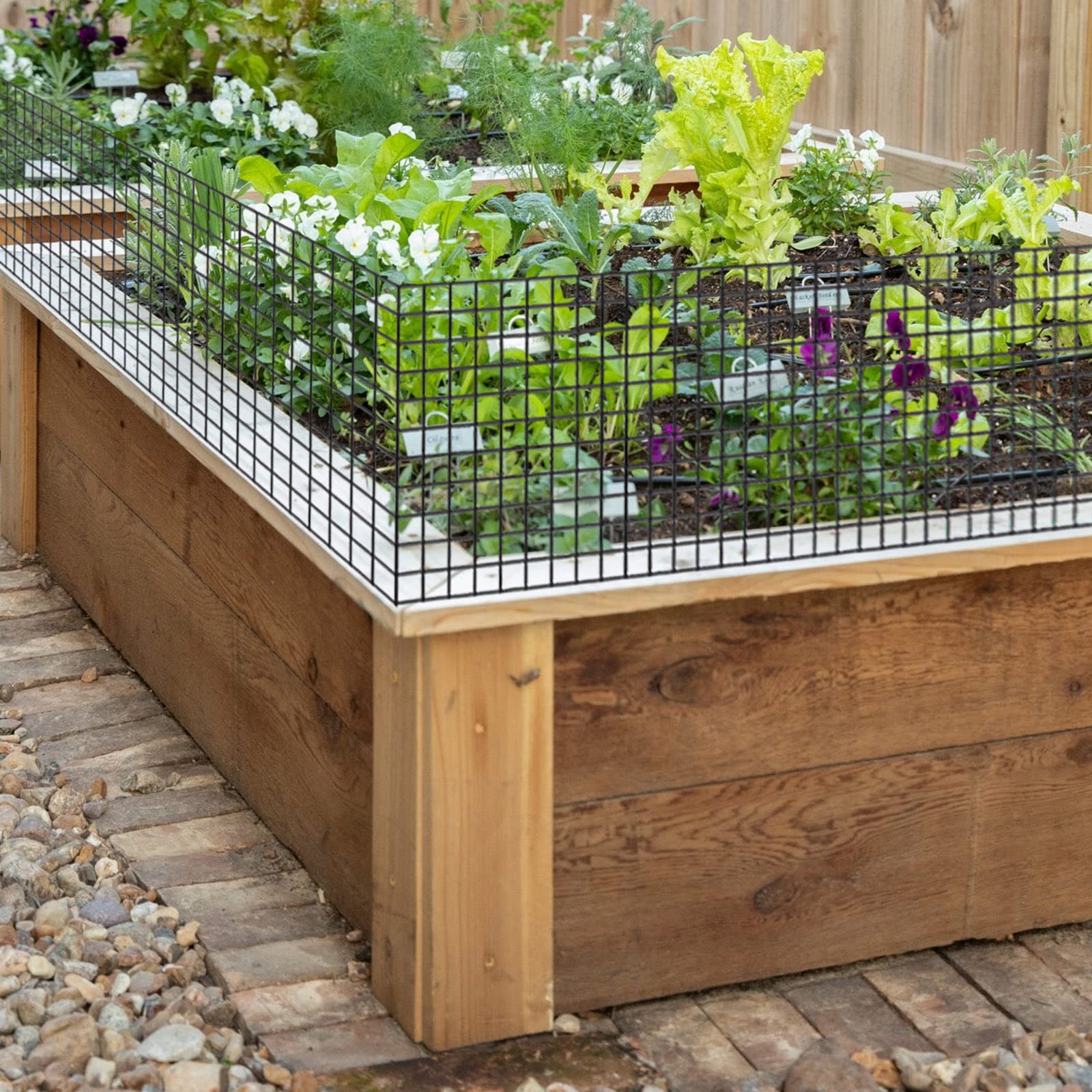 Maocao Hoom BH02635 Rolled-Fence - View #3