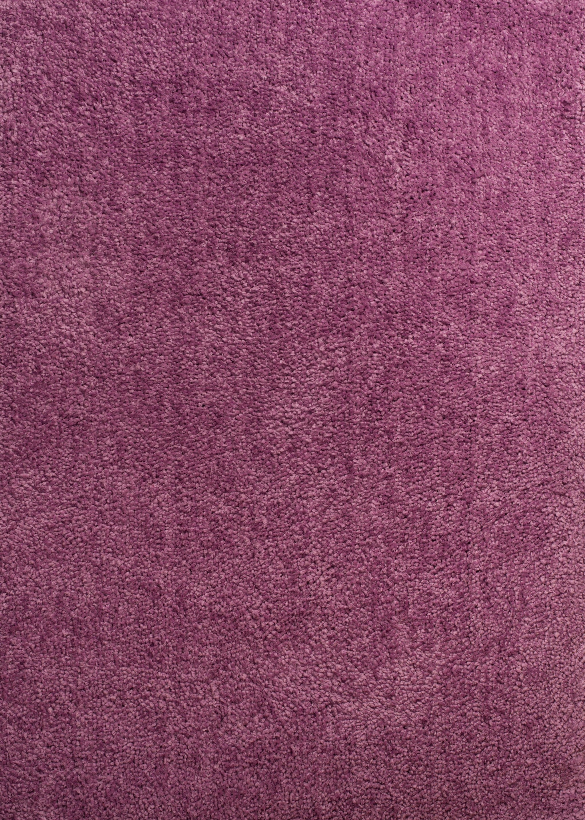 HomeRoots 368309 Jordan 7 X 10 (ft) Shag Lilac Indoor Solid Industrial Area Rug