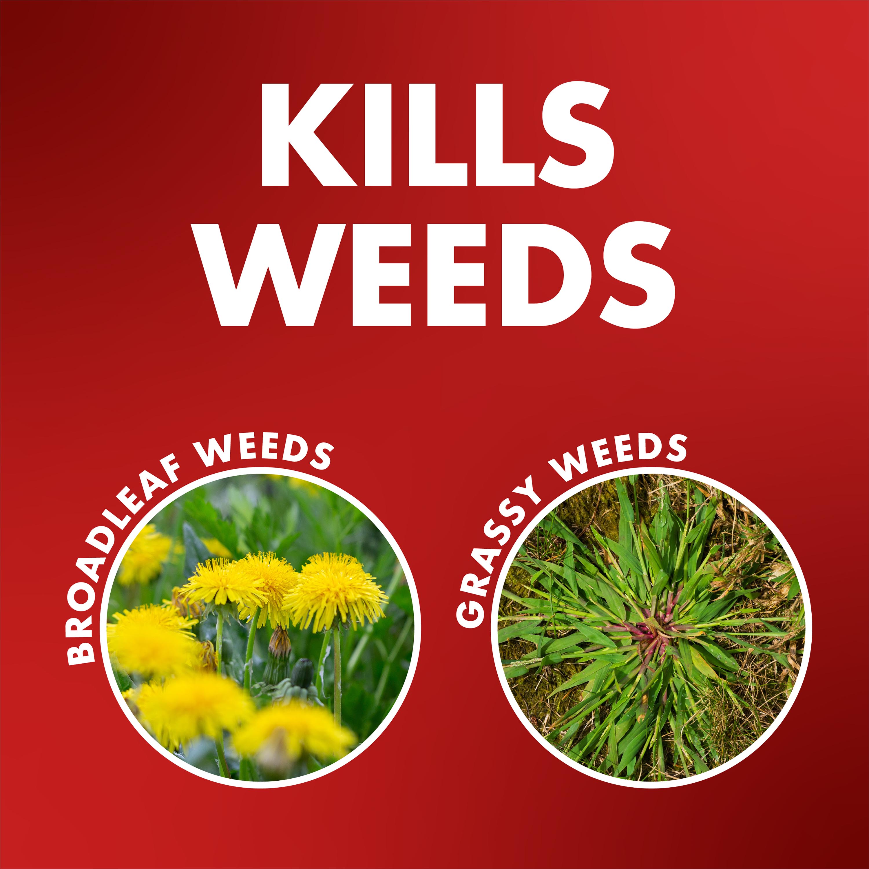 Spectracide HG-97186 Weed-Killers - View #5