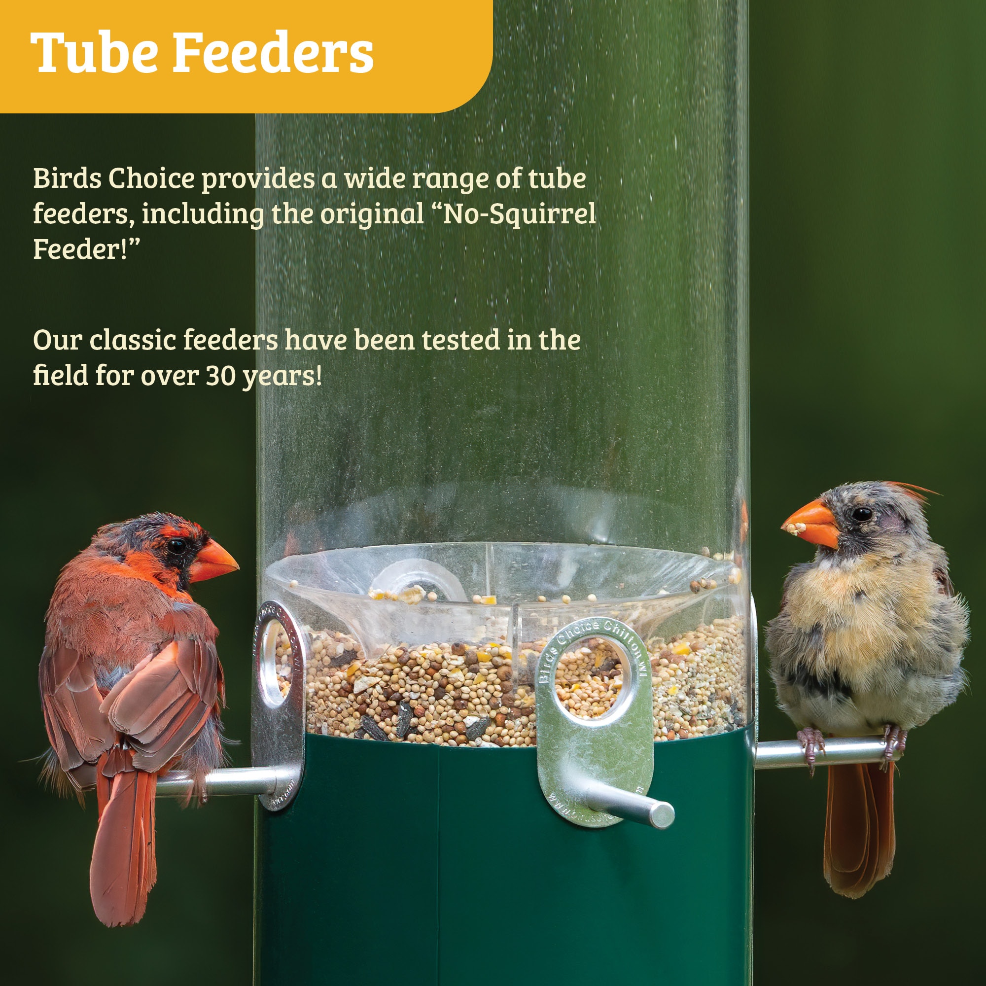 BIRDS CHOICE NP435 Bird-Feeders - View #7