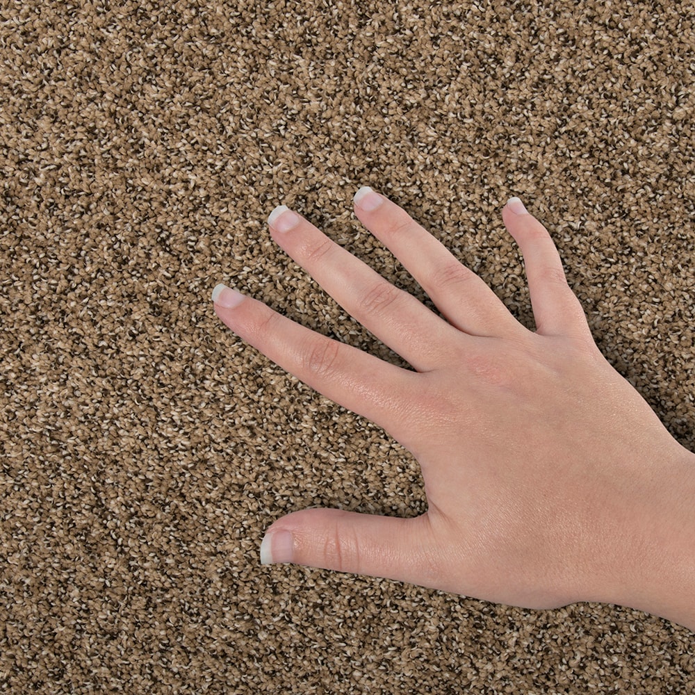 STAINMASTER SS034-12-L005 Carpet-Panel - View #4
