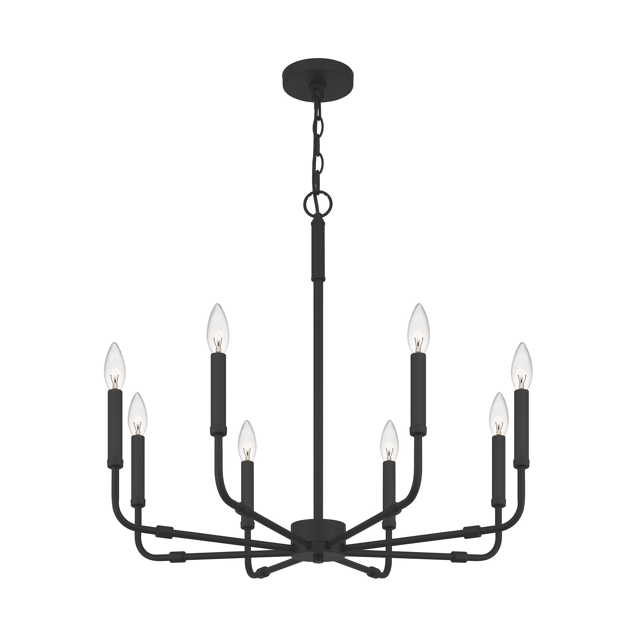 Quoizel Abner 8-Light Matte Black Transitional Damp Rated Chandelier in ...