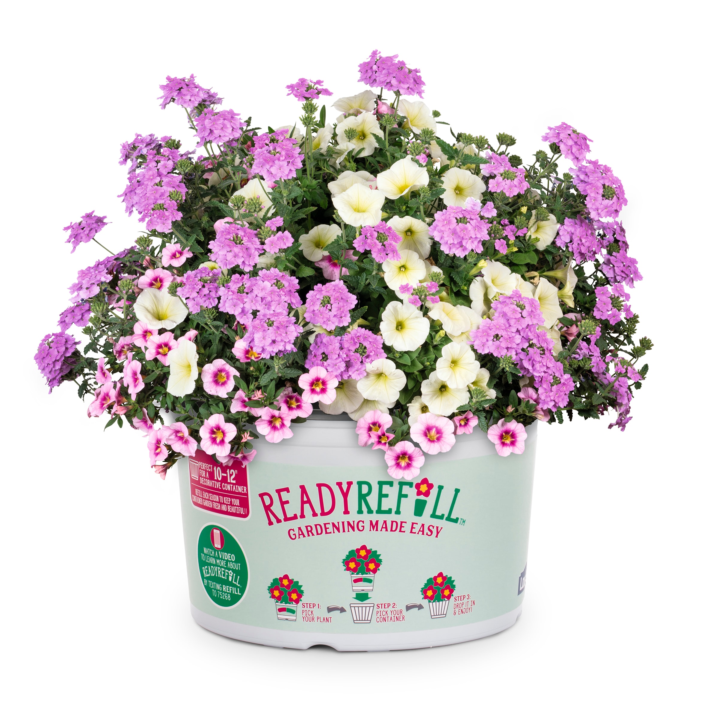 Ready Refill NURSERY Multicolor Hunny Bunny in 1.5-Gallon Pot