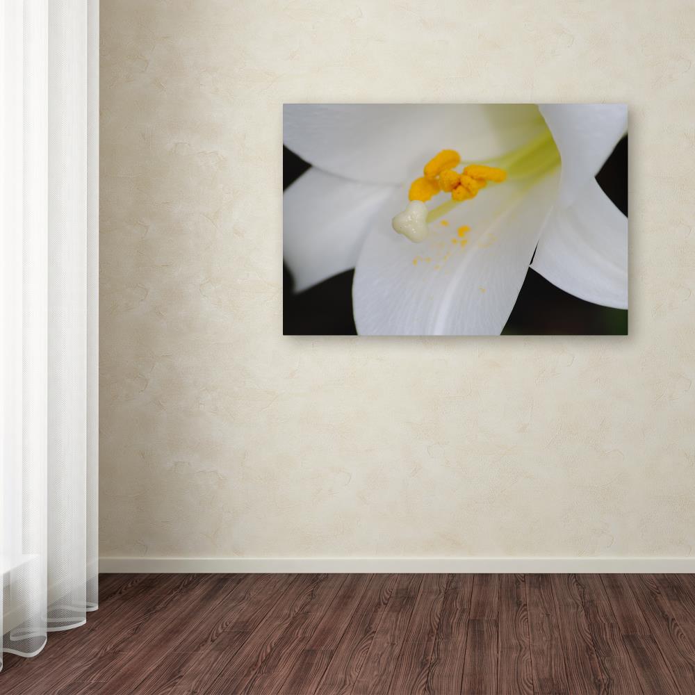 Trademark Fine Art MF162-C1219GG Wall-Art - View #3