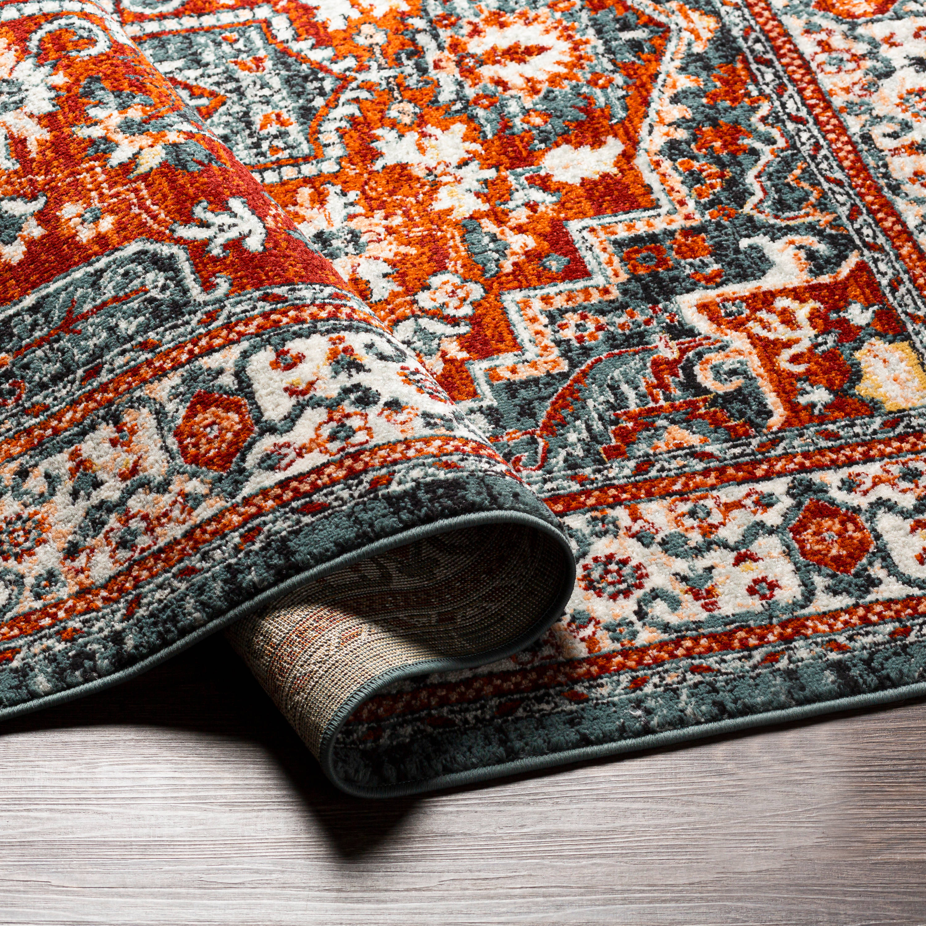 Artistic Weavers TVZ2347-679 rugs - View #4