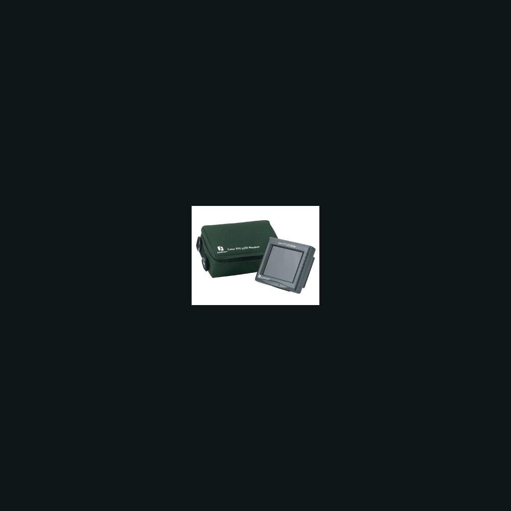  SY4039146 Everfocus Electronics EN200 5.6 in. High Resolution LCD Monitor