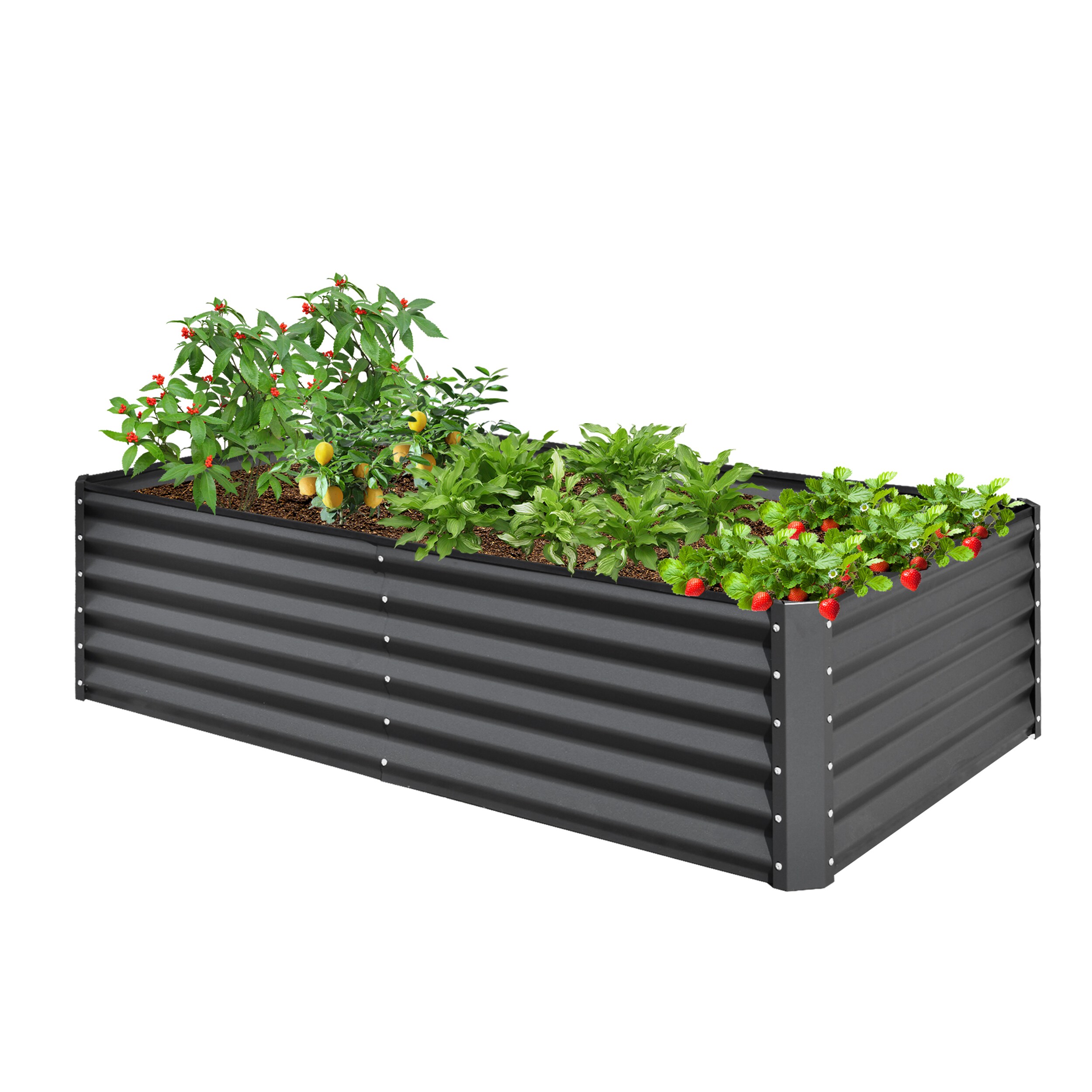 AHIOU HOME ZAAHG-P197984GB Raised-Garden-Beds - View #2