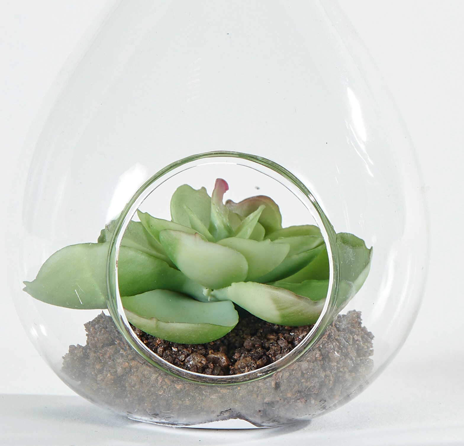 Worth Imports 1955 Artificial-Plants-Trees - View #2