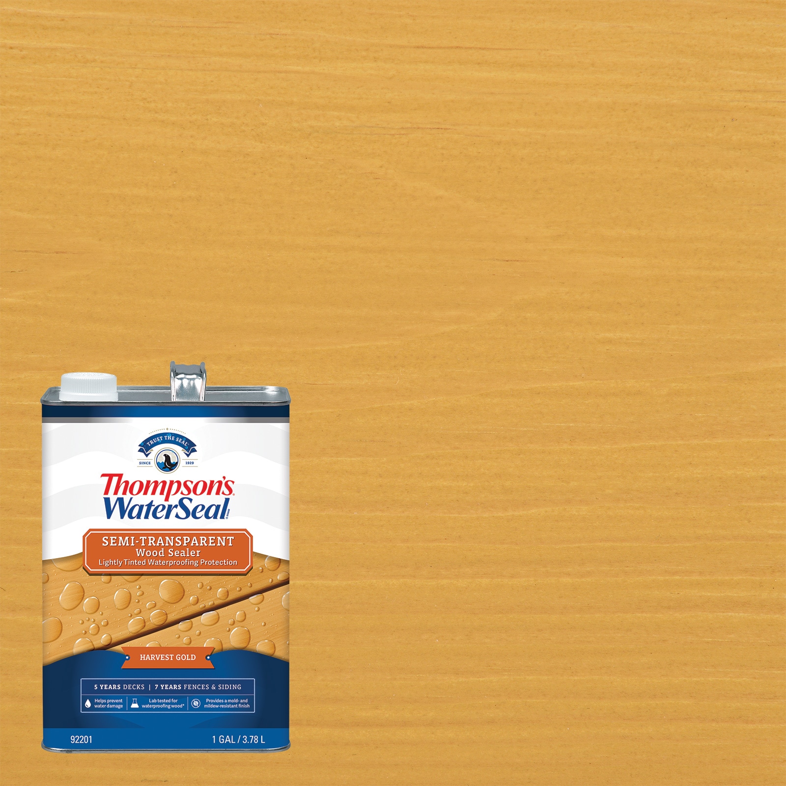 Thompson's WaterSeal Semi-Transparent Waterproofing Wood Stain and