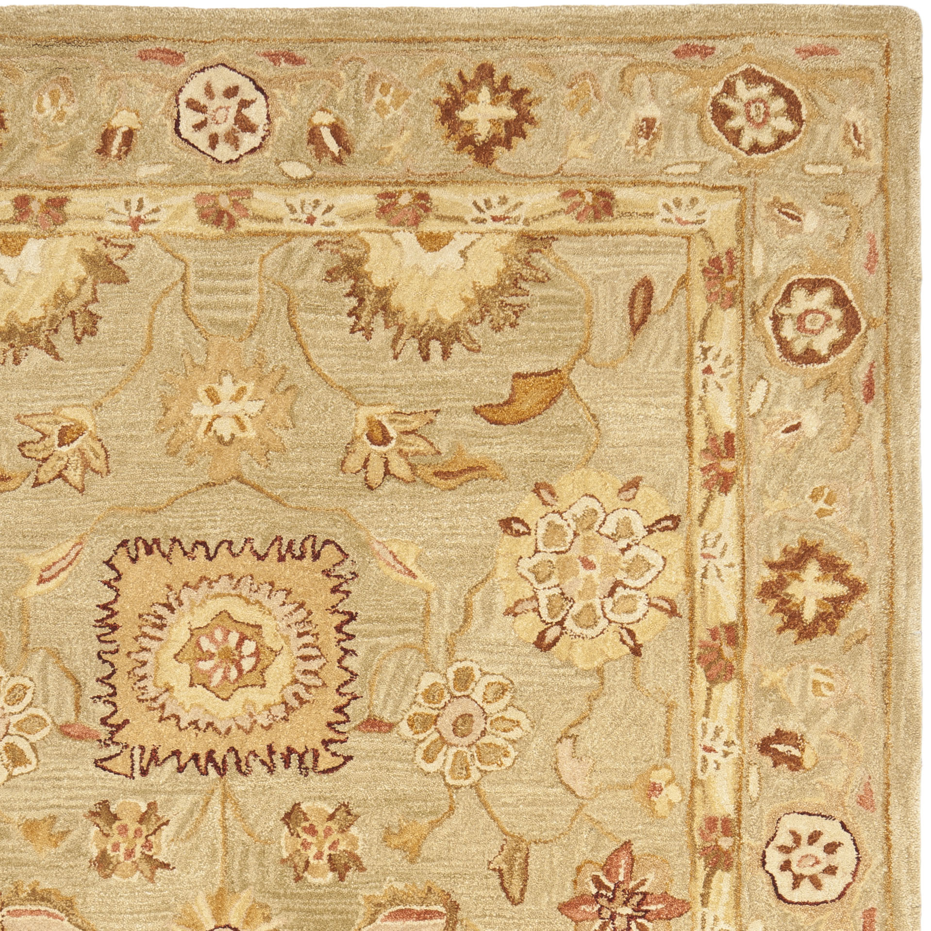 Safavieh AN556K-5 rugs - View #5