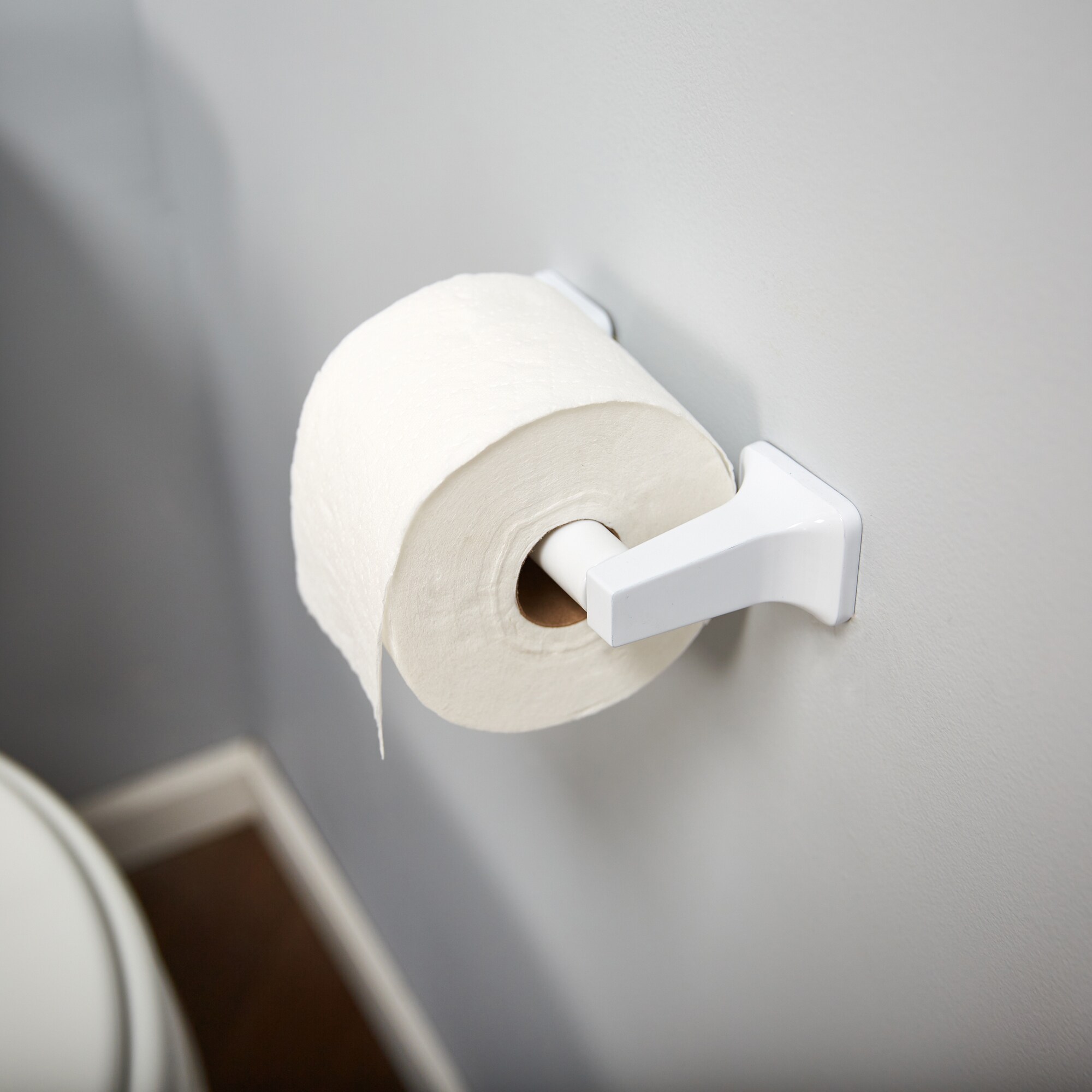 Lenape One-Piece White Plastic Toilet Paper Holder Concealed Mount