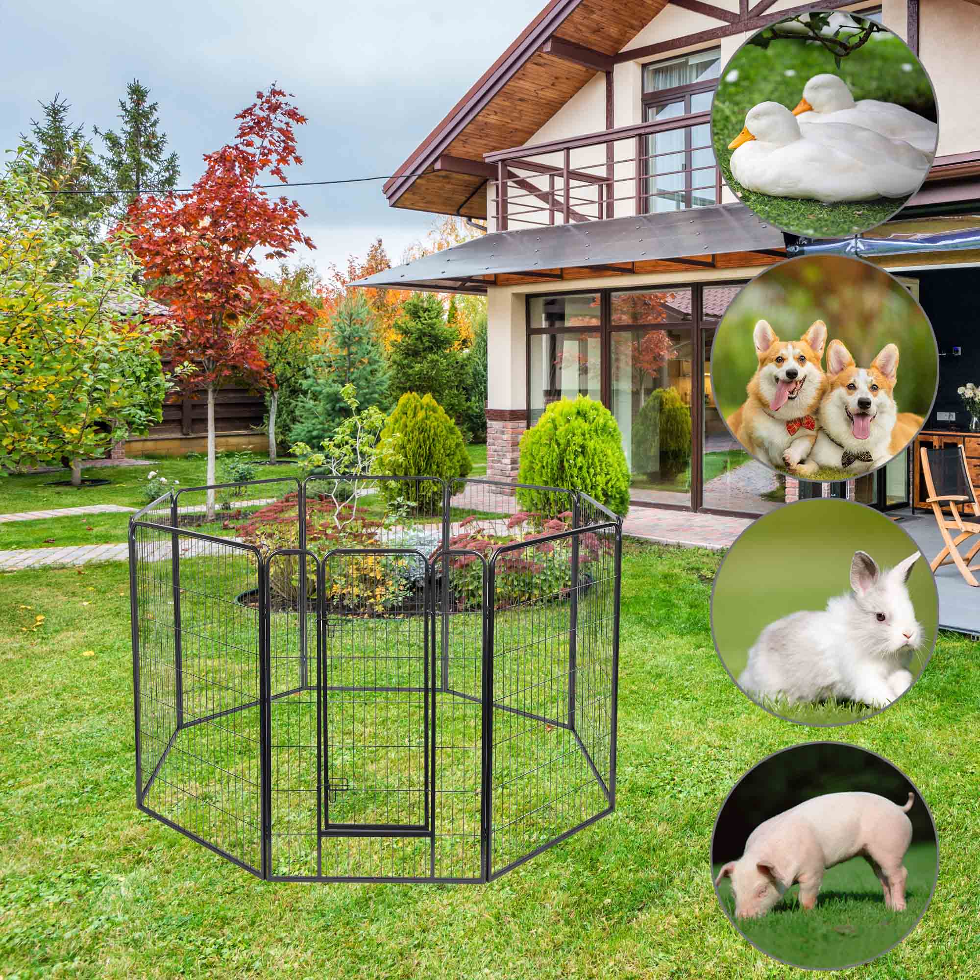 Yescom 17DPP006-8P40X6-LO Dog-Pens - View #2
