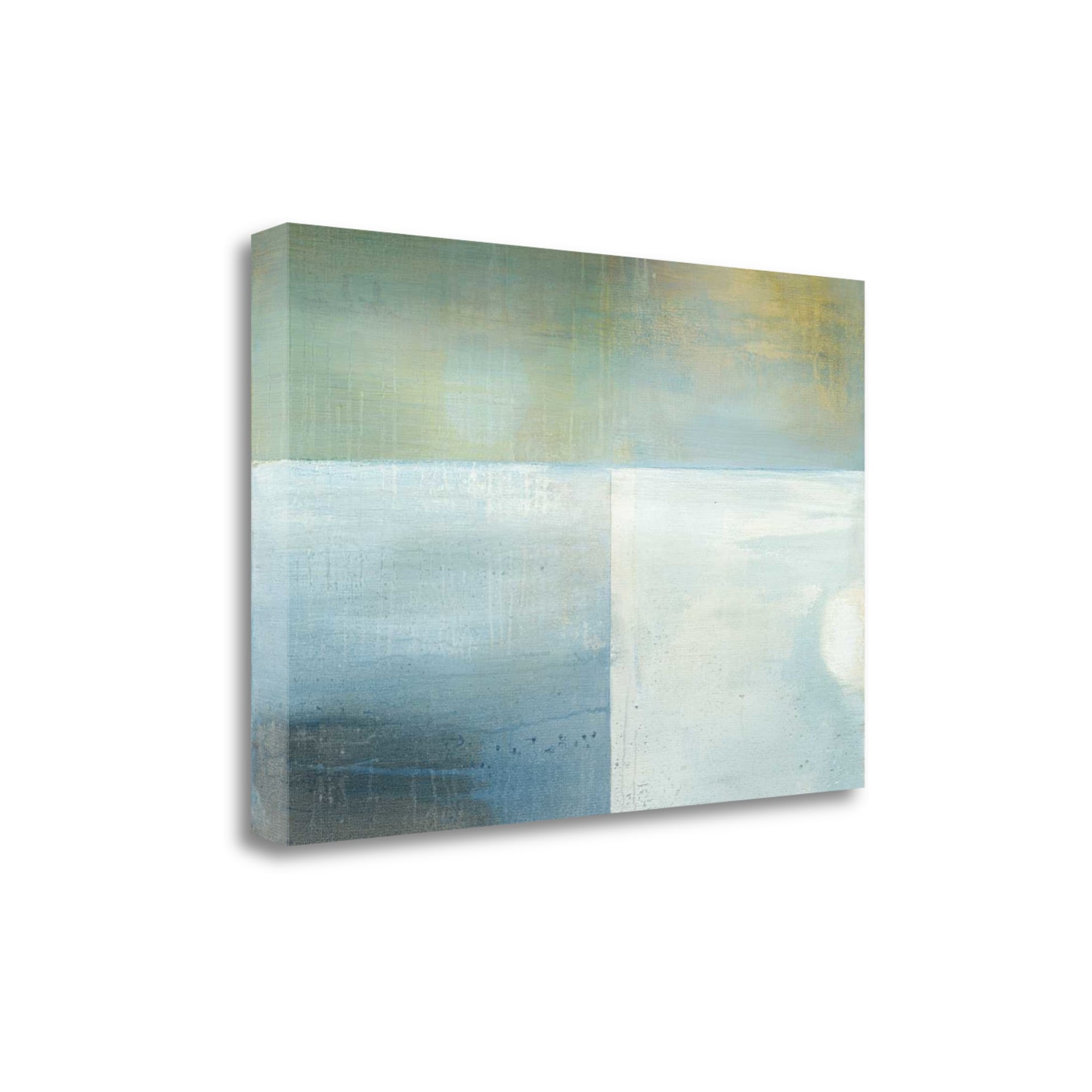 Tangletown Fine Art CARHP113-2920C Parceled Reflections Heather Ross 20-in H x 29-in W Abstract Print on Canvas