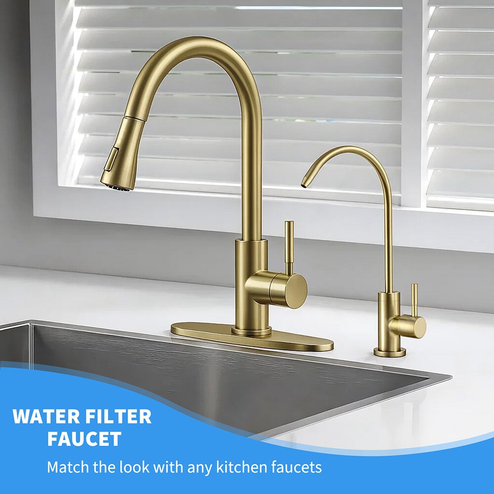 EQLOO C067410-BG Kitchen-Faucets - View #2
