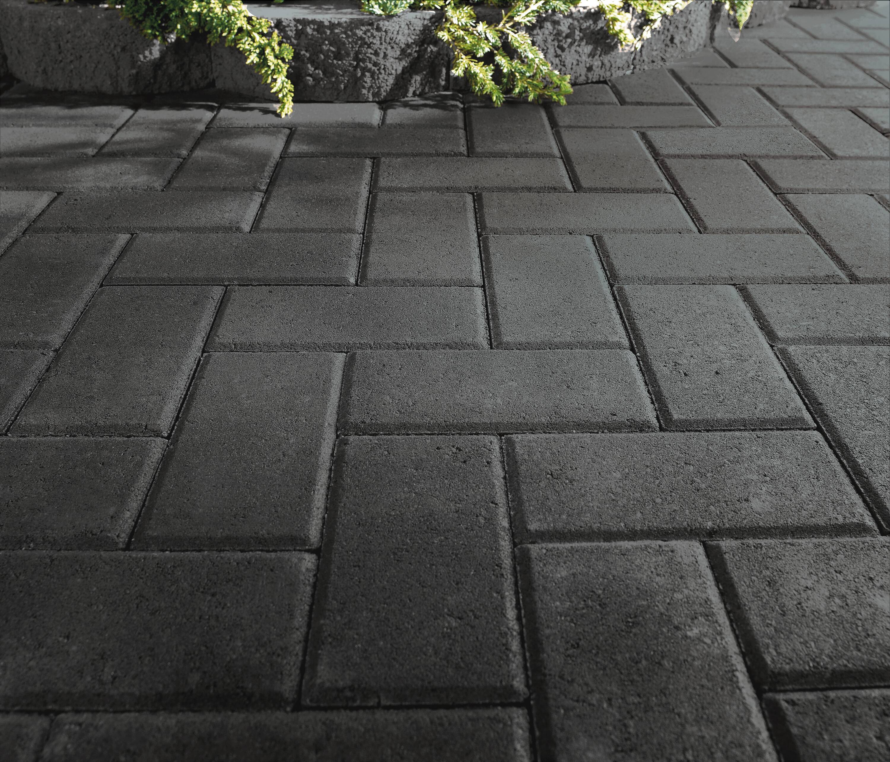 8-in L x 4-in W x 2-in H Rectangle Charcoal Concrete Paver 507372 at ...