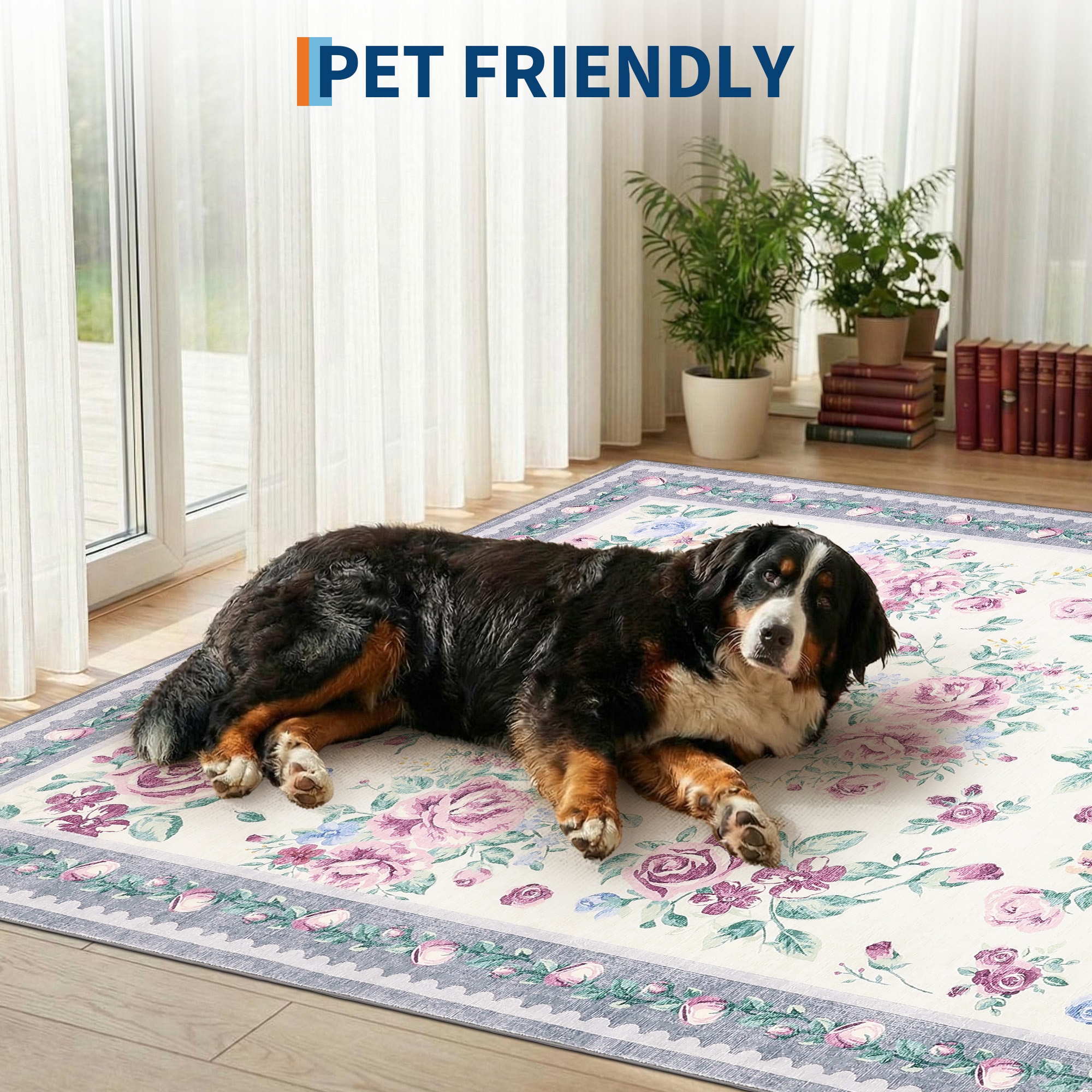 Assile ASRUG26821132IW7M rugs - View #7