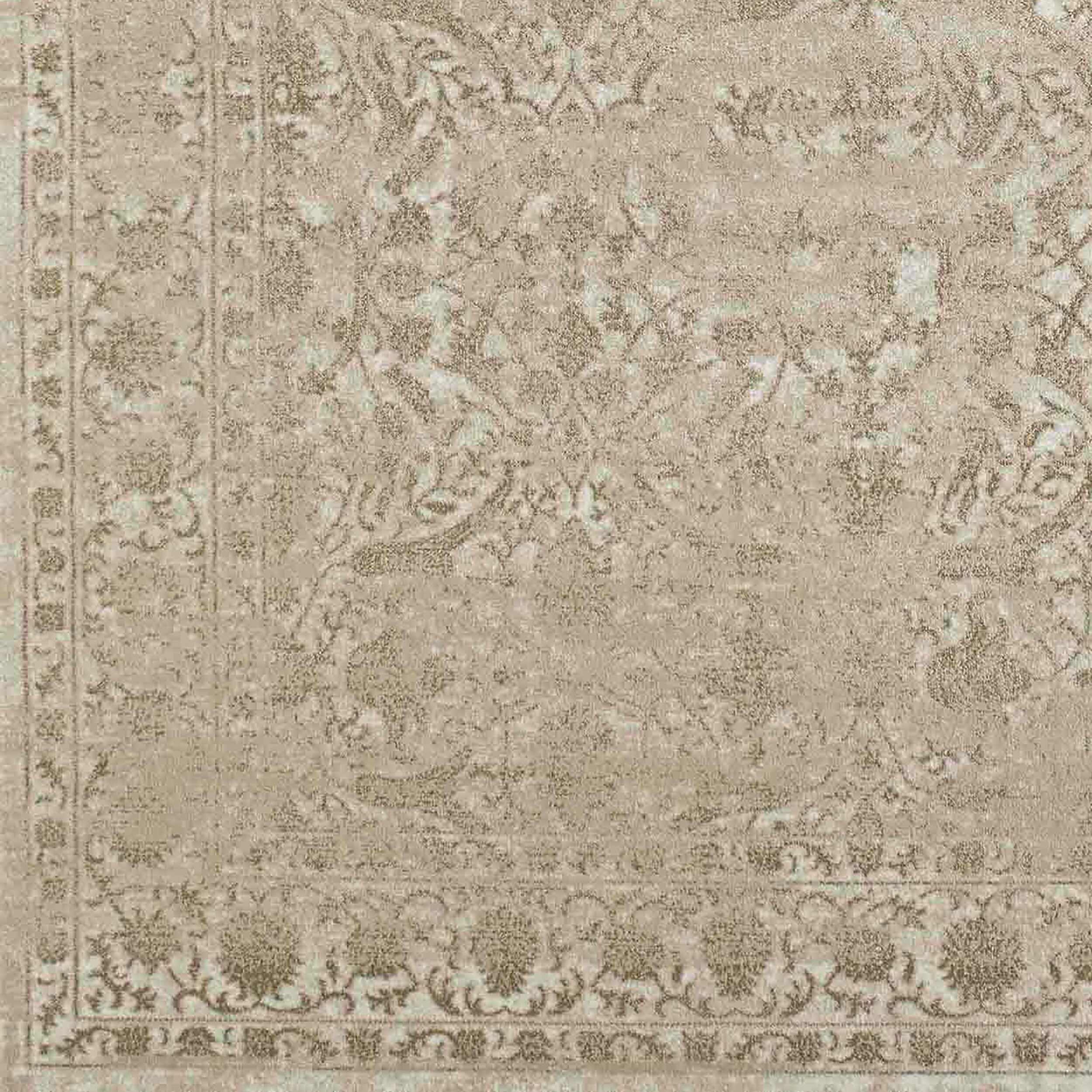Radici USA 3564/0021/BONE rugs - View #4