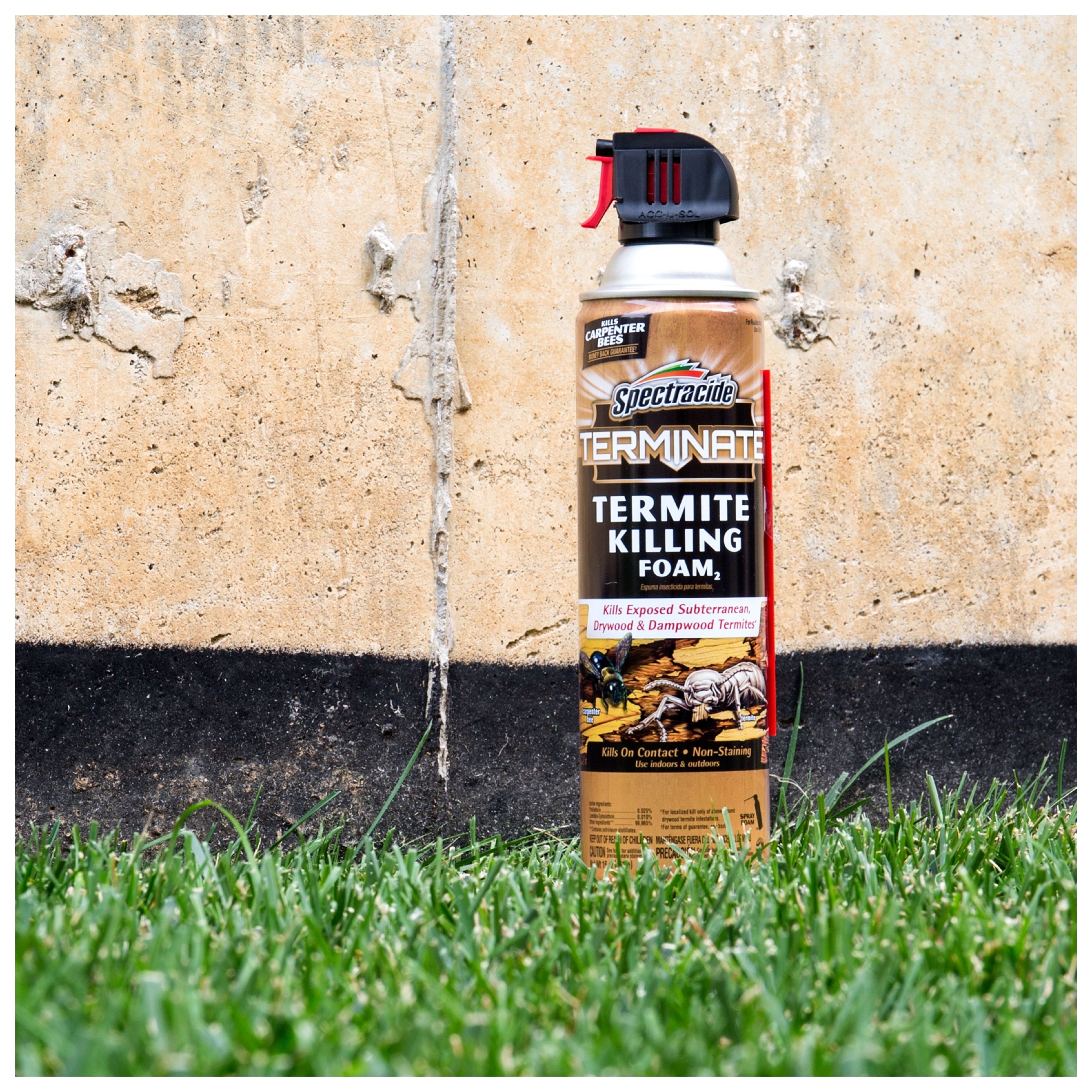Spectracide 16-oz Terminate Foam Termite Killer Aerosol