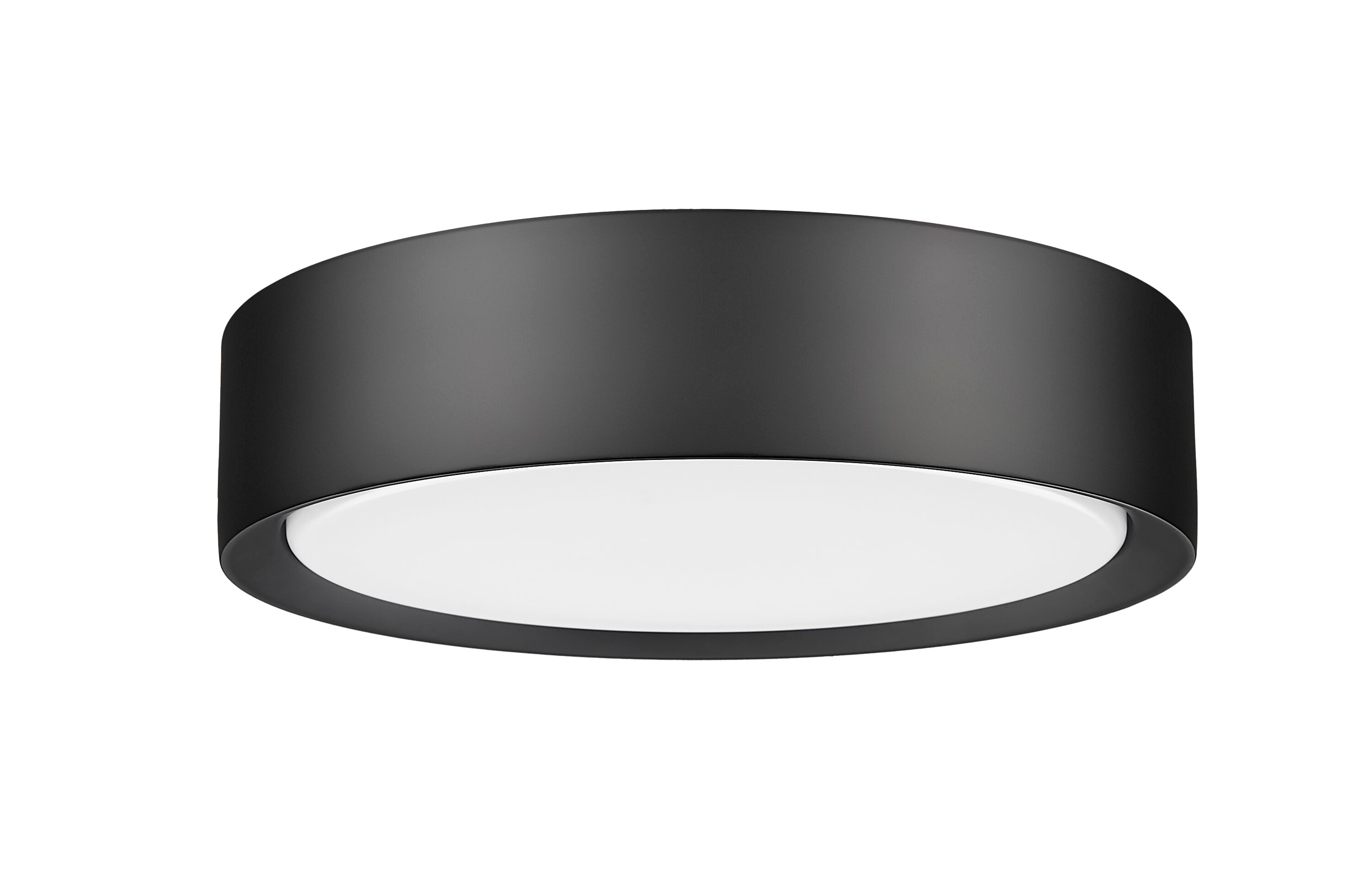 Z-Lite 1014F12-MB-LED flushmounts - View #7
