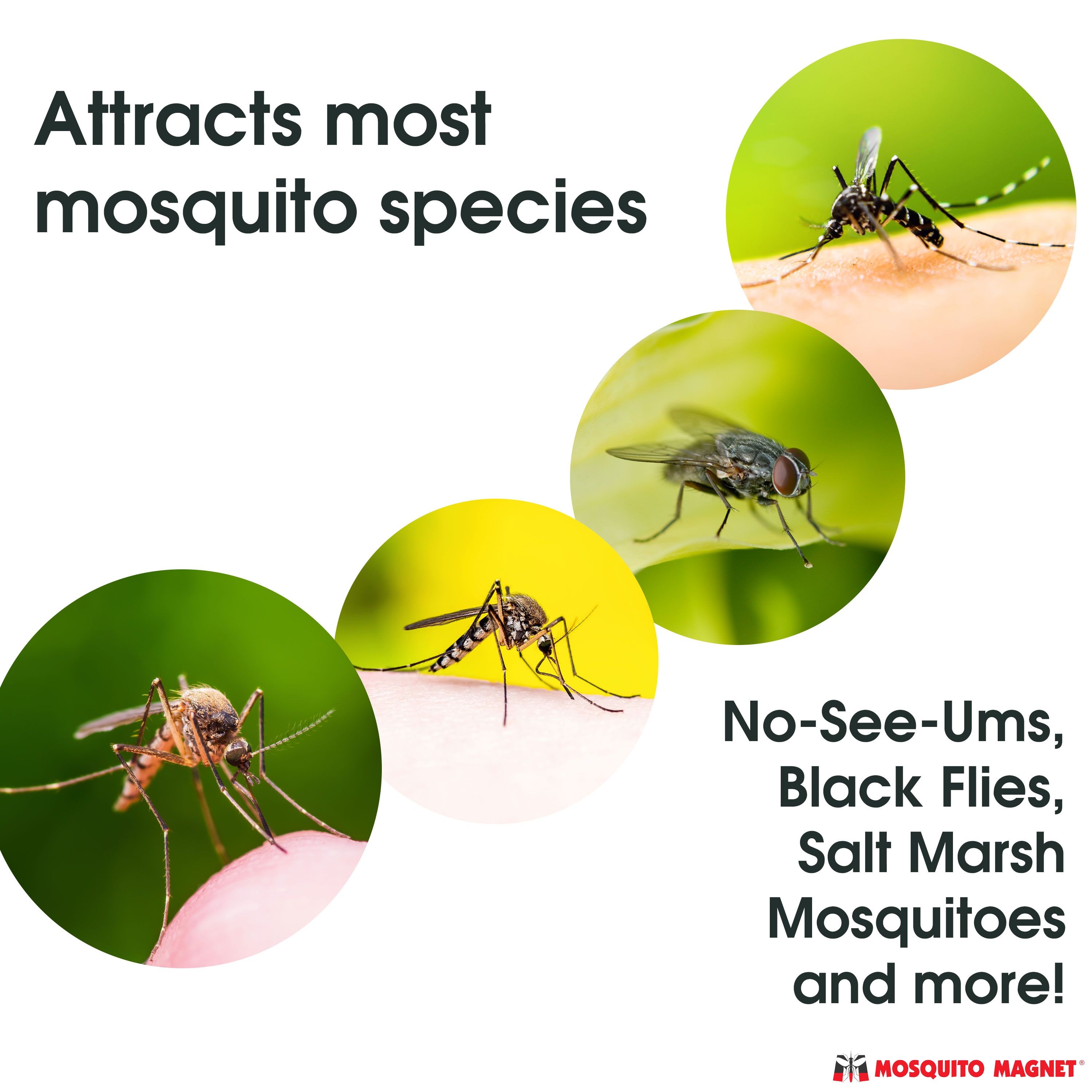 Mosquito Magnet OCTENOL3 repellents - View #3