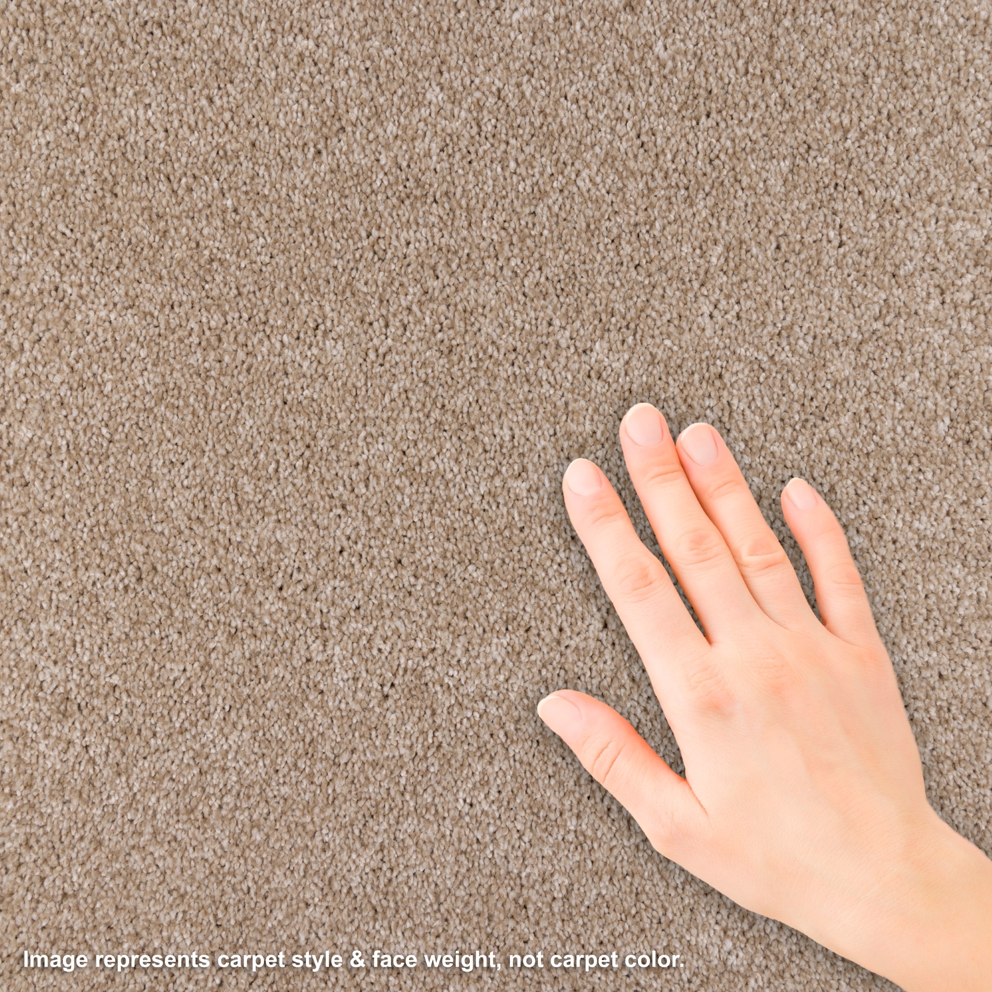 STAINMASTER L5016-1518-1200-AB Carpet-Panel - View #4
