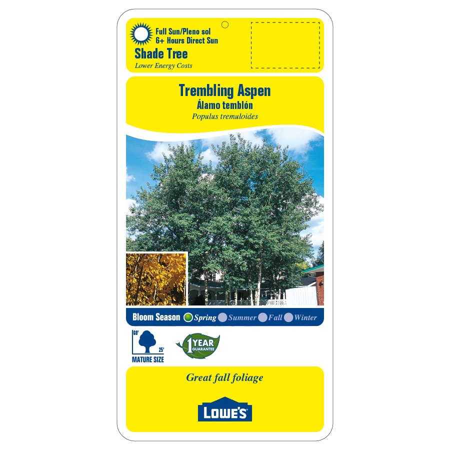 Lowe's 588503 trees - View #2