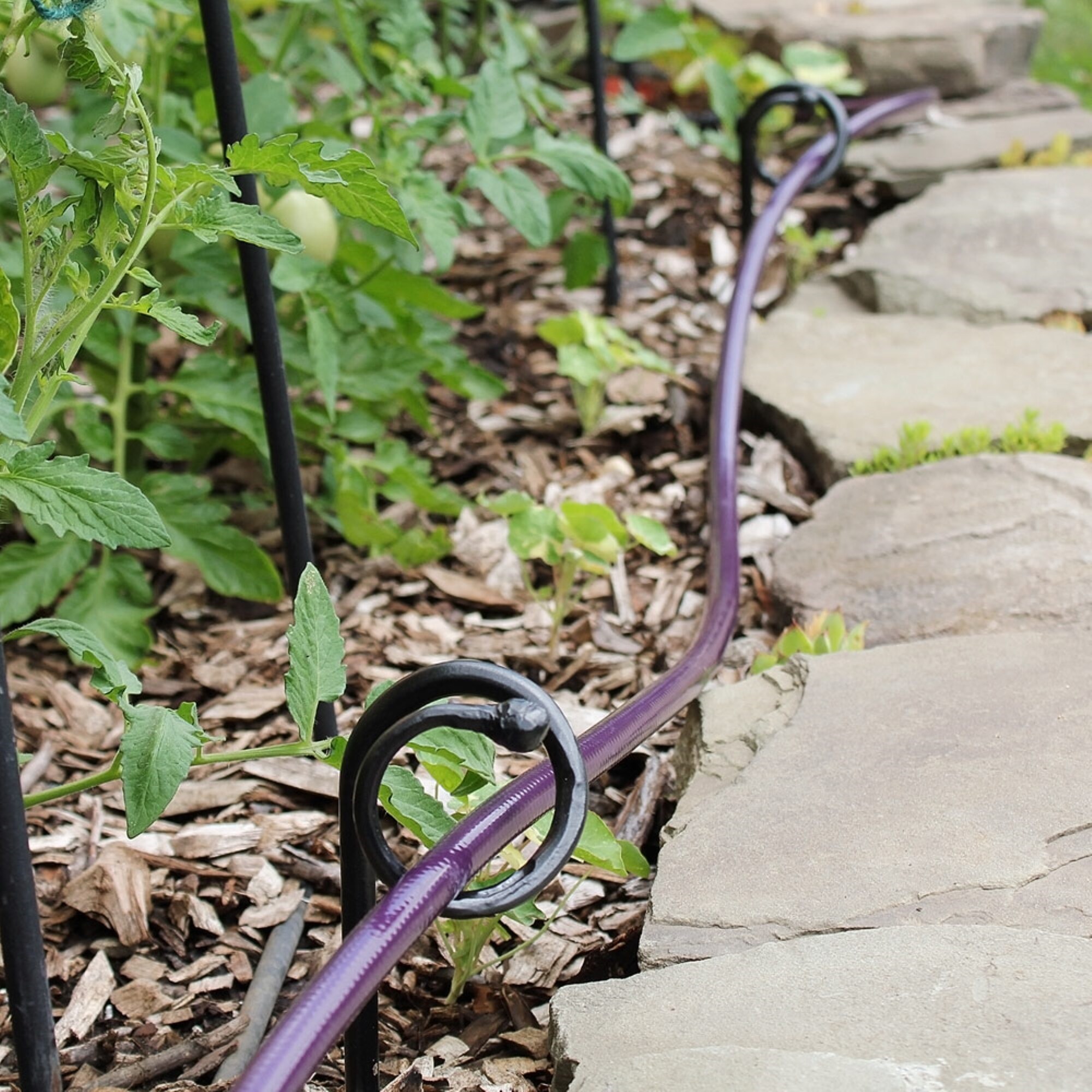 ACHLA Designs 181-1006 Winter-Plant-Protect - View #3