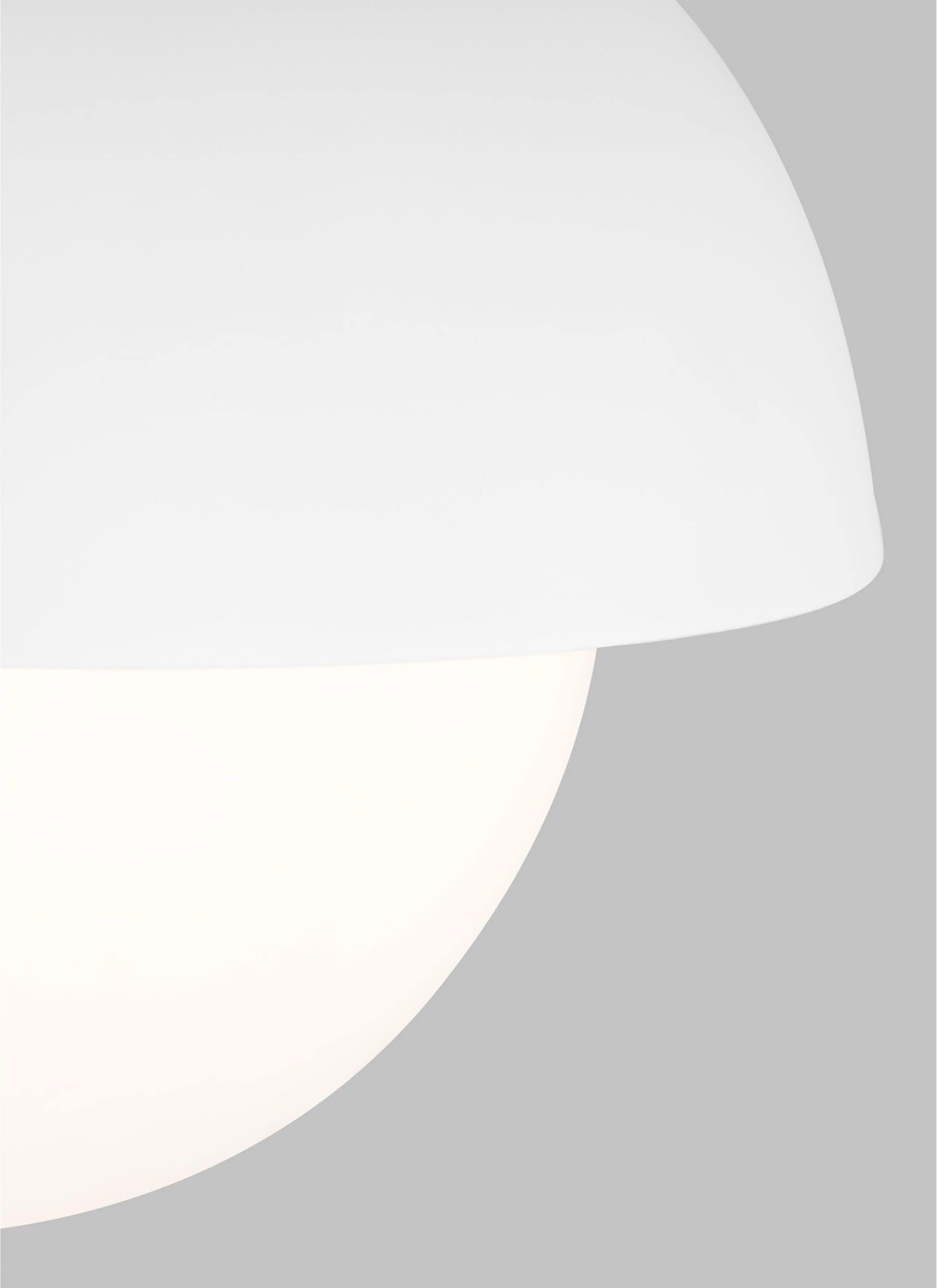 Matte White Opal Glass 1-Light Flush Mount