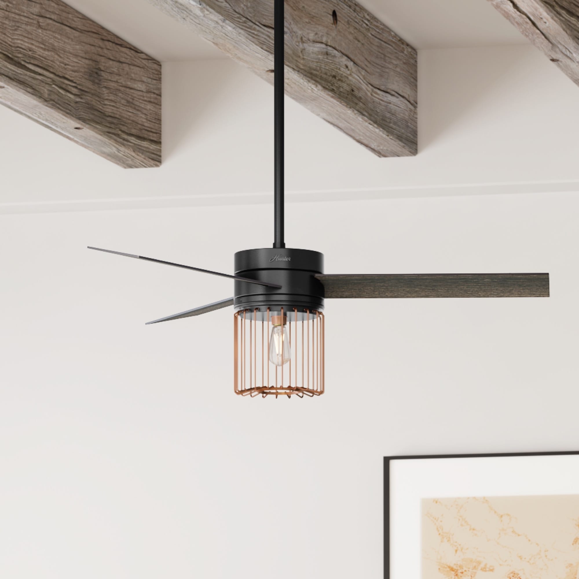 Hunter 59239 Ceiling-Fans - View #4