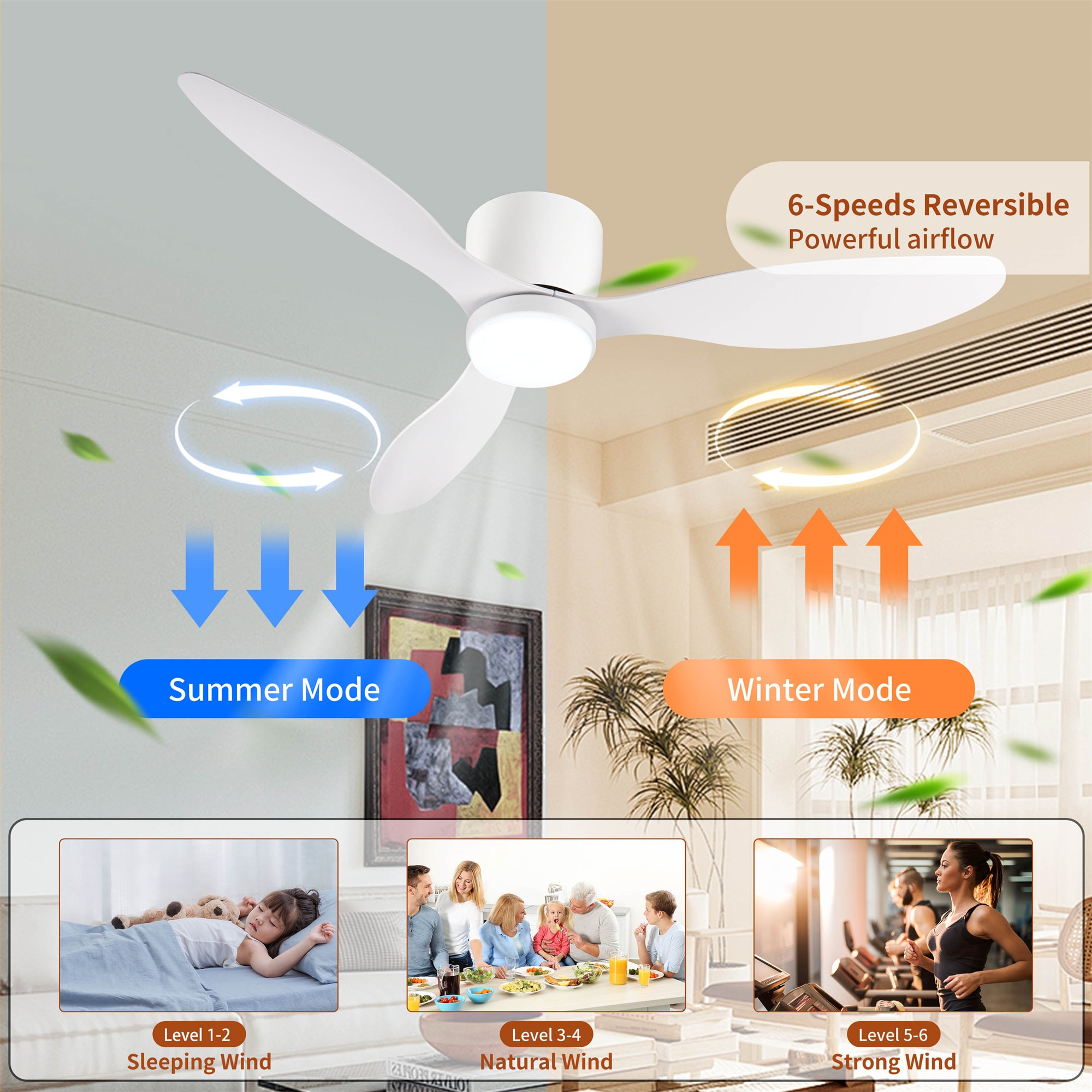 BABOOM BOM-316021-OR Ceiling-Fans - View #5