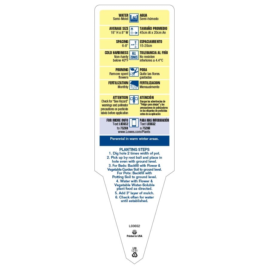 Lowe's 3936013 annuals - View #3