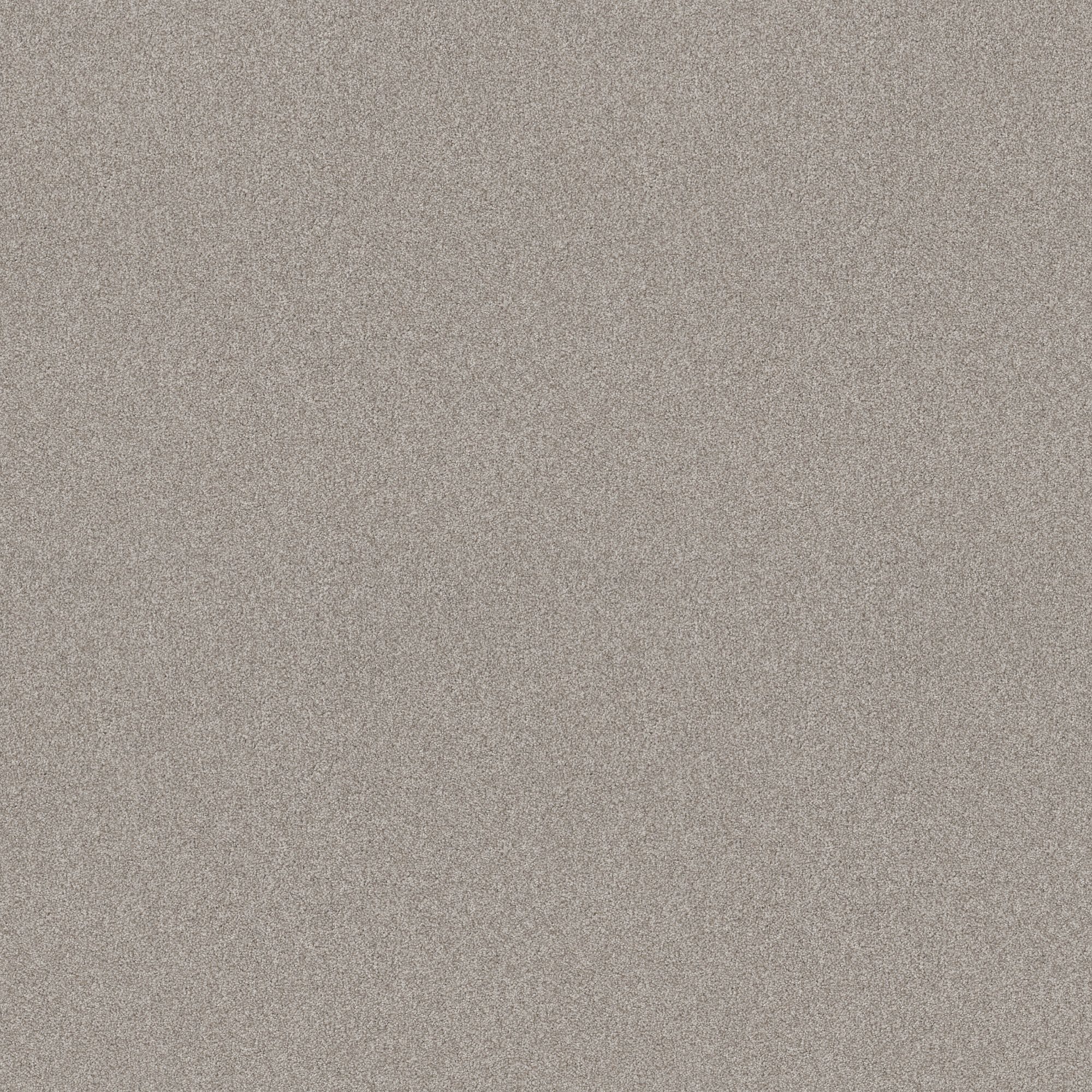 STAINMASTER PetProtect 7L90700128 Paws Down II Baltic Stone Brown 43.9-oz sq yard Nylon Textured Indoor Carpet