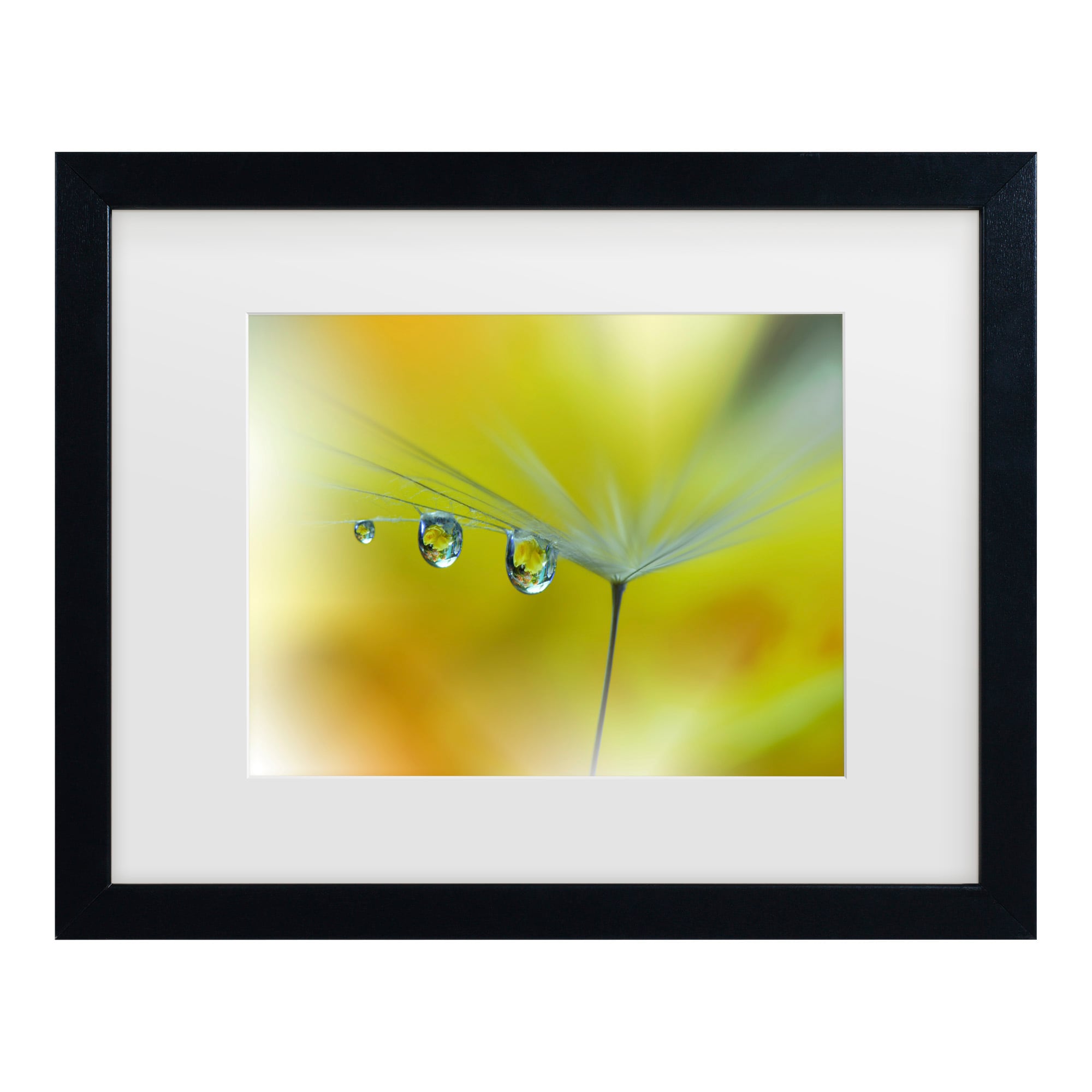 Trademark Fine Art 1X10921-B1620MF Wall-Art - View #2
