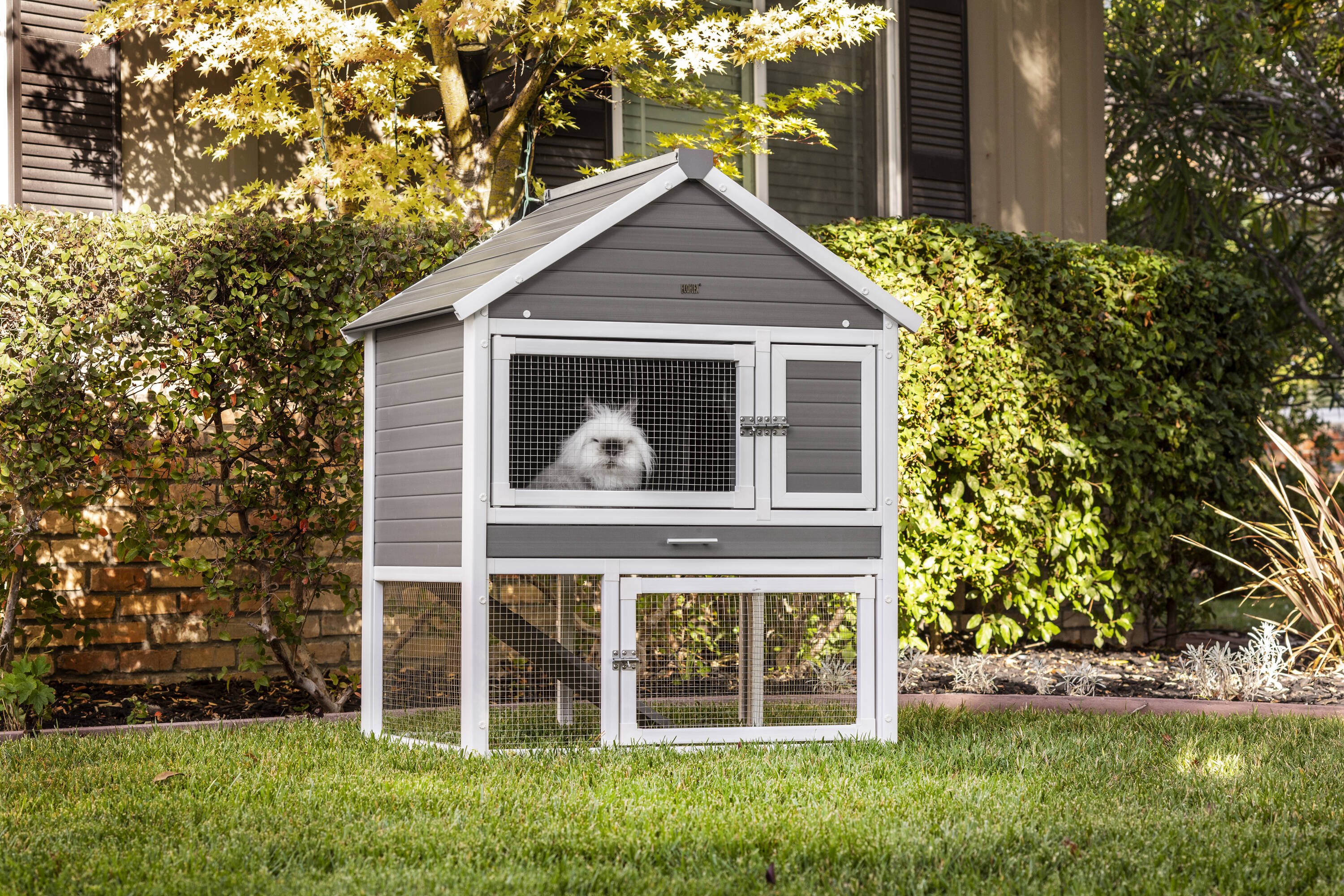 New Age Pet Gray Composite Rabbit Hutch ECORH205 at Lowes.com